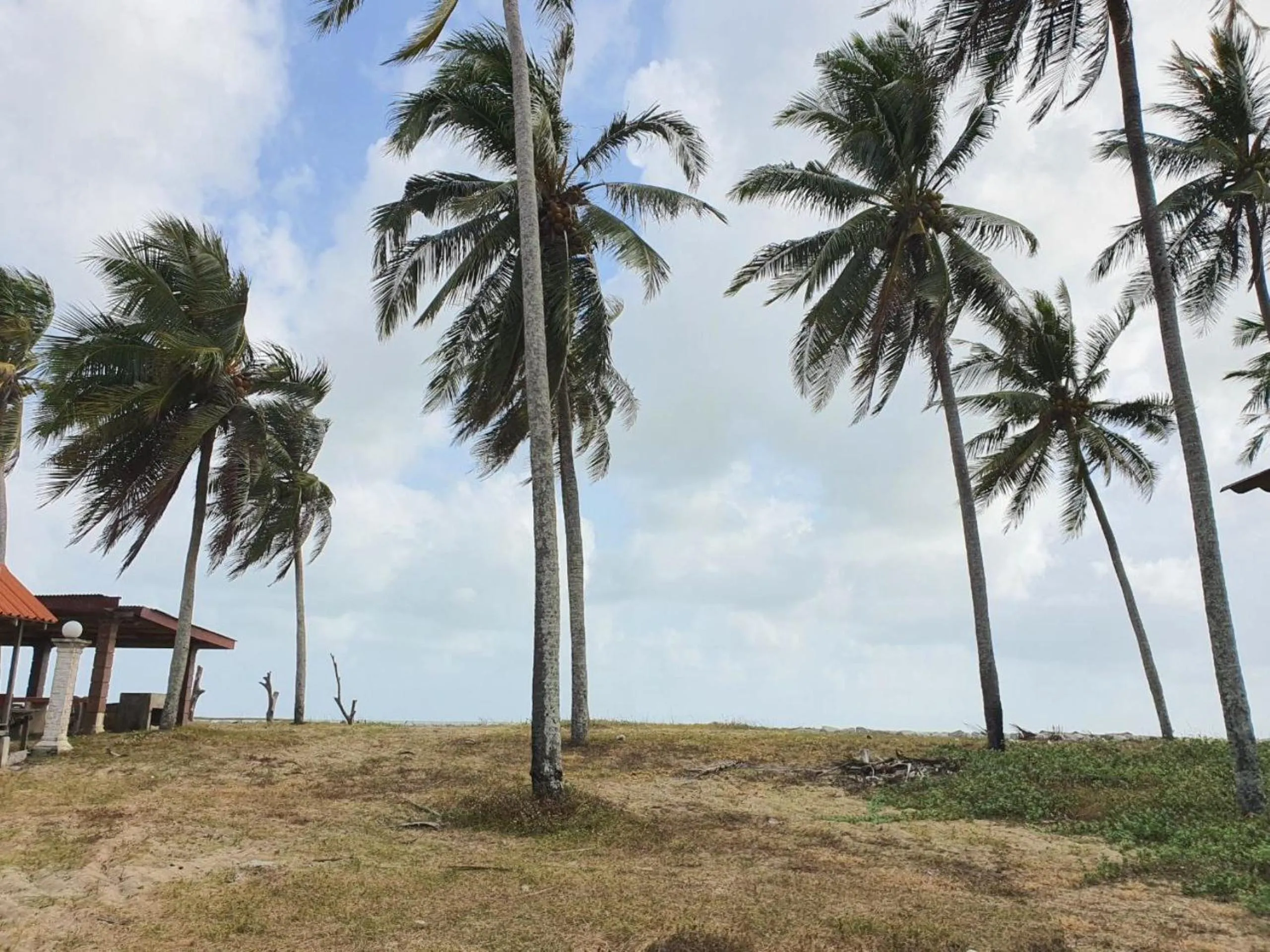 Garden in Hotel O Bayu Chalet