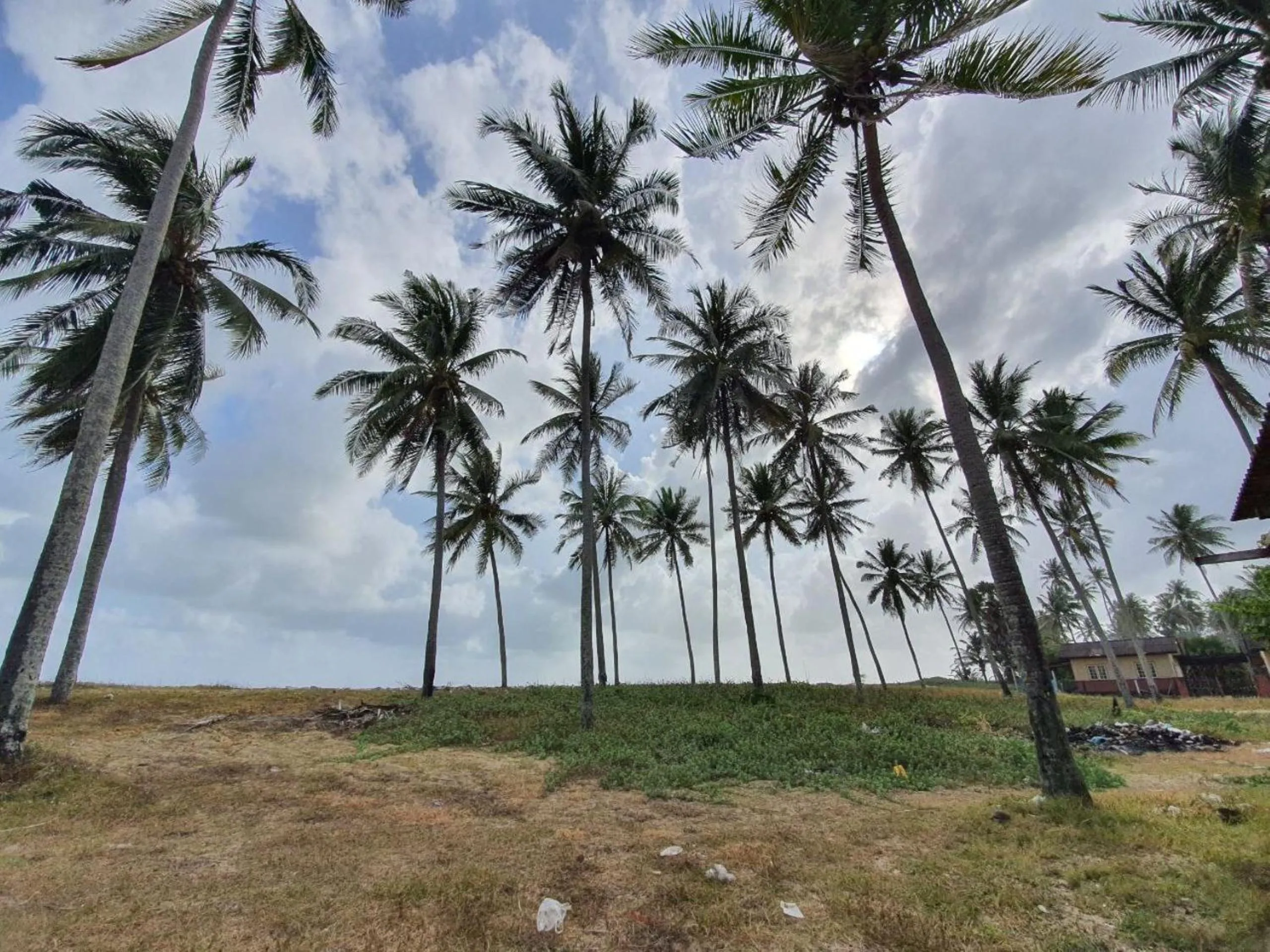 Garden in Hotel O Bayu Chalet