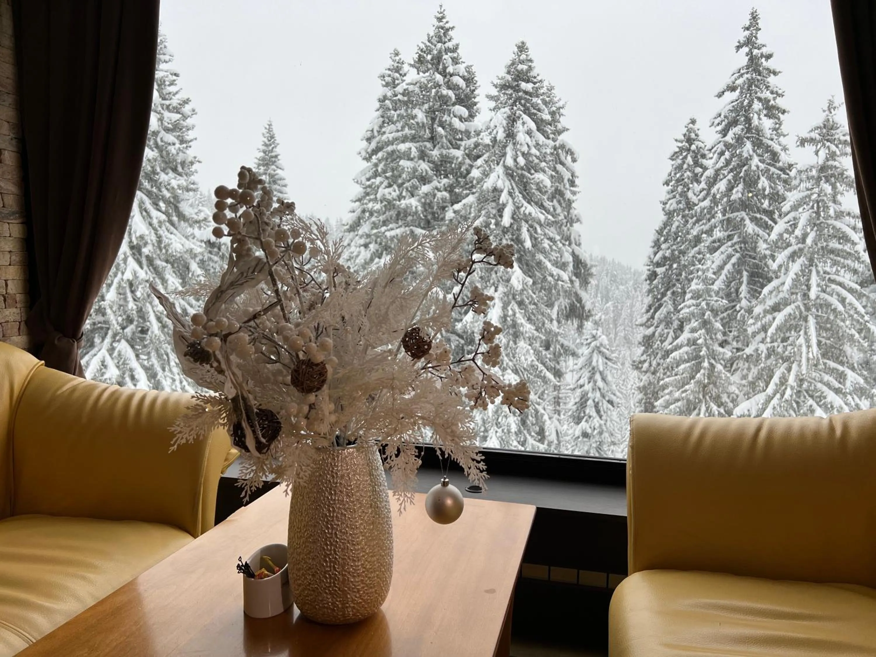 Winter in Kamena Pamporovo