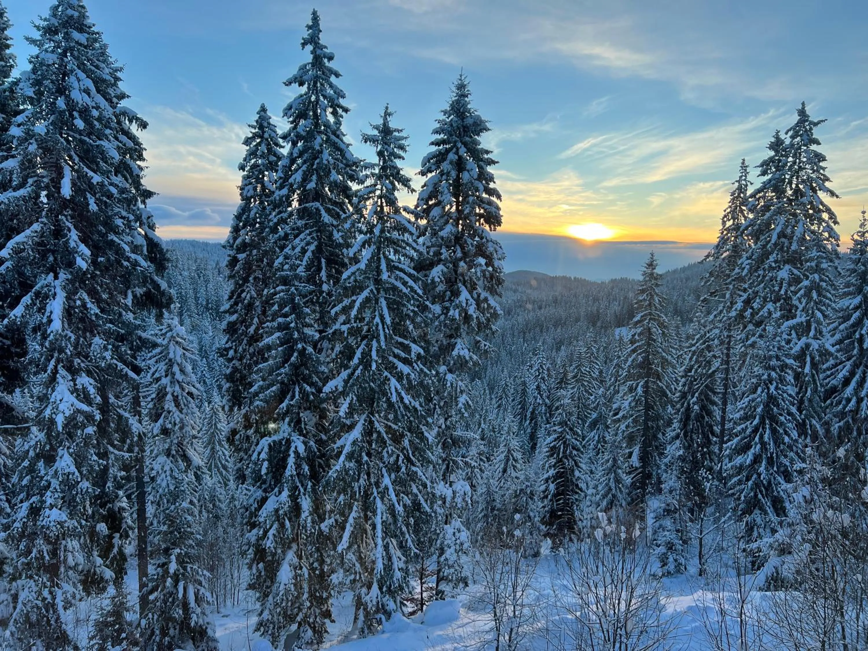Natural landscape in Kamena Pamporovo