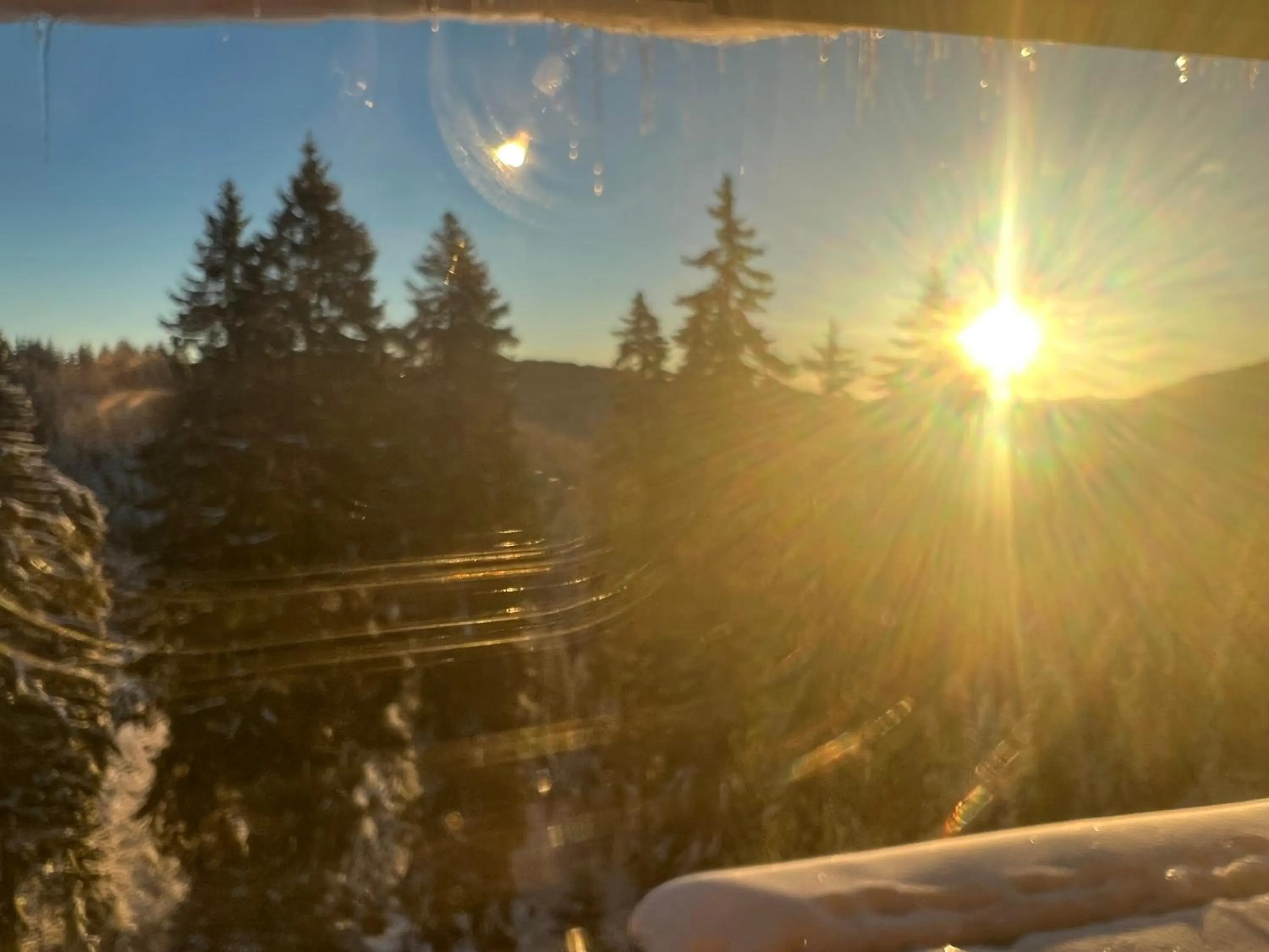 Natural landscape in Kamena Pamporovo