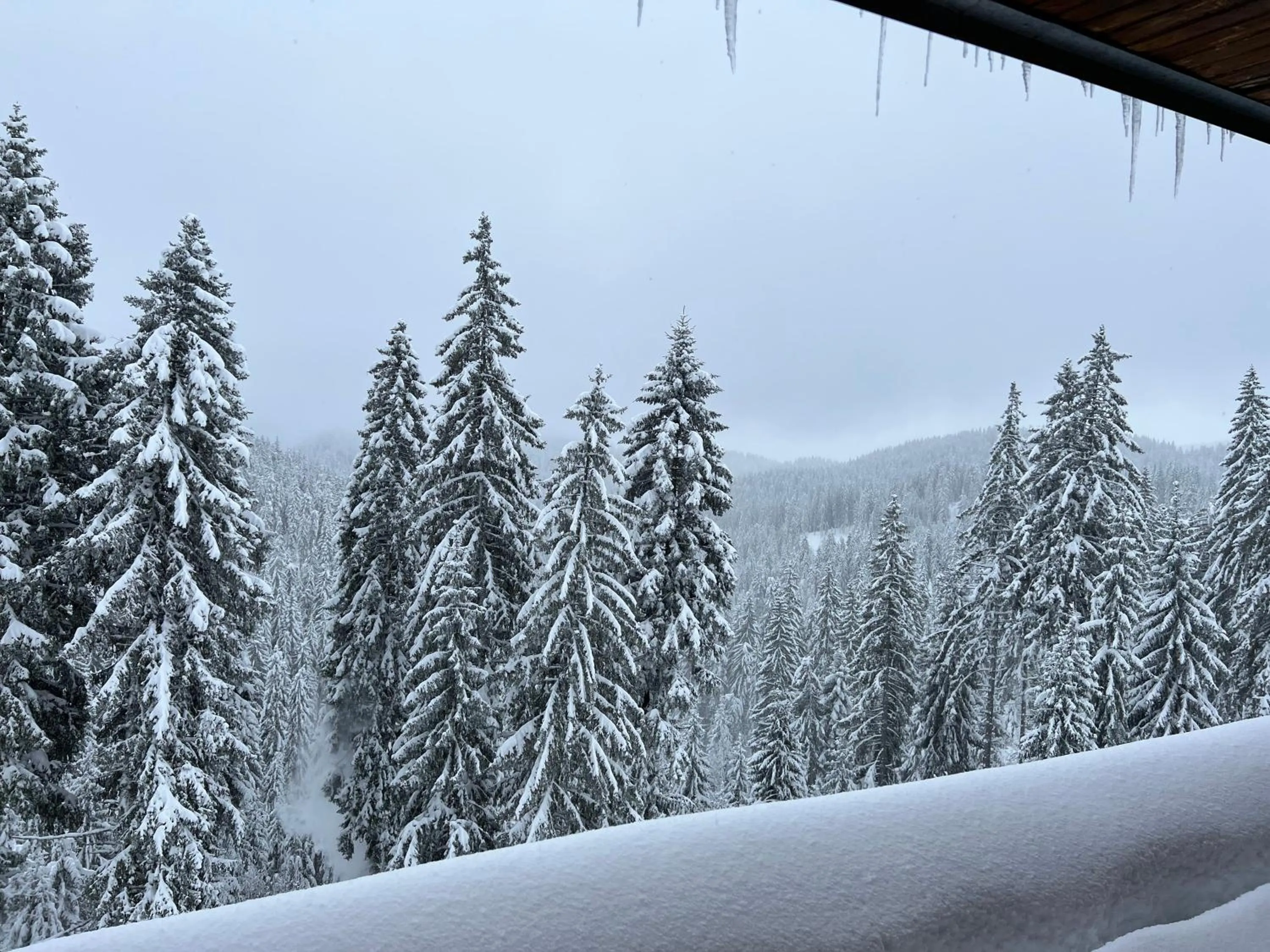 Natural landscape in Kamena Pamporovo