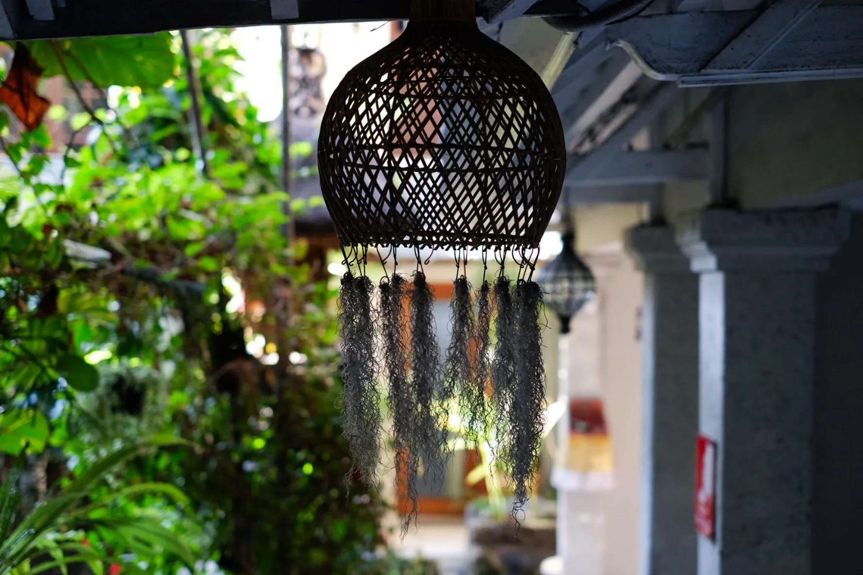 Garden in Su's Cottages Legian