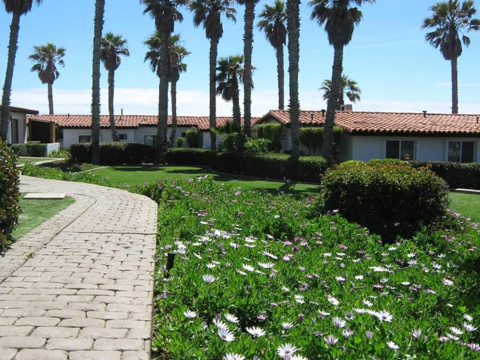 Garden in Great Beach Swiming Pools Tennis Courts Condo in La Paloma Rosarito Beach