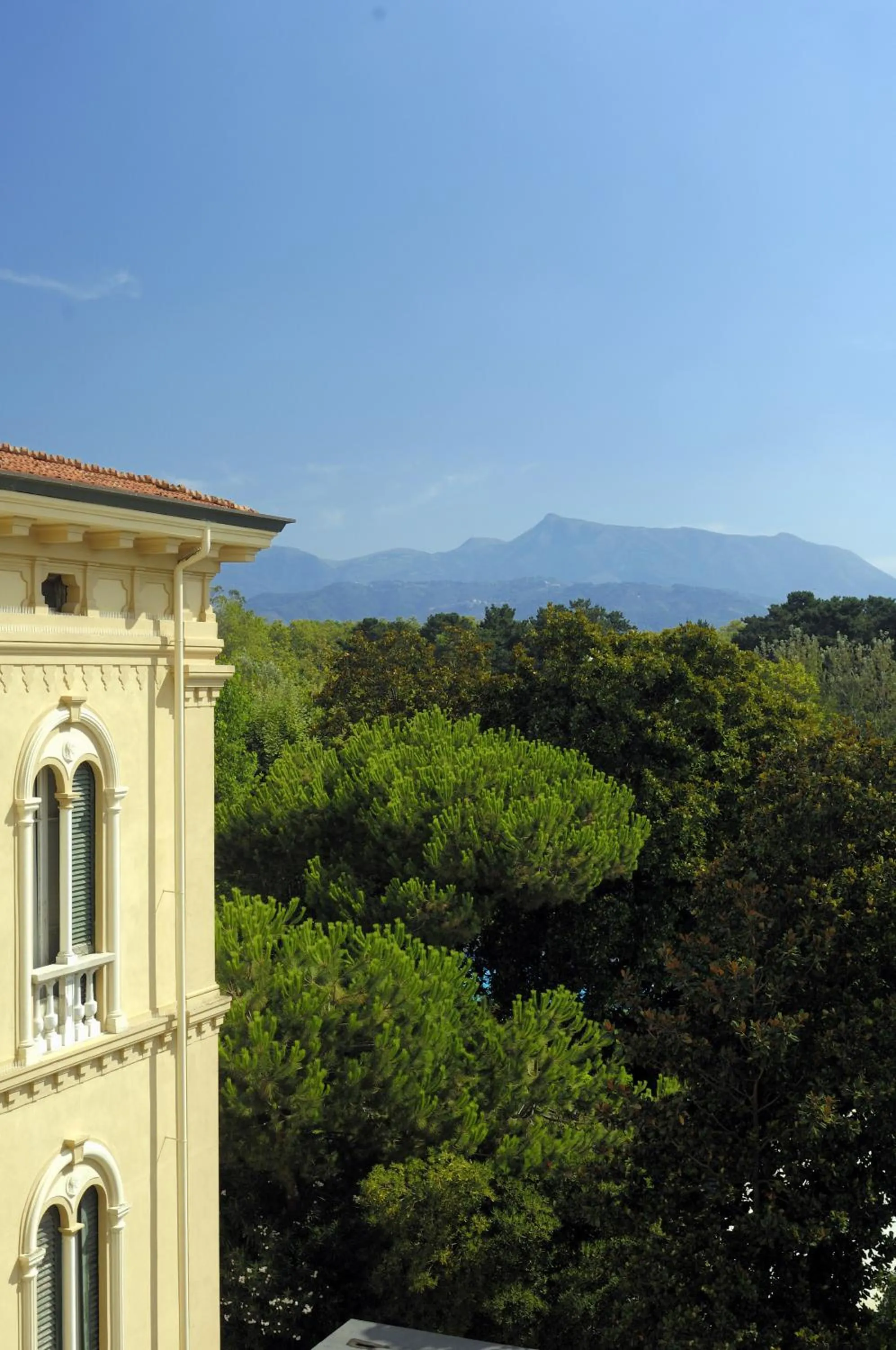 Garden view in Grand Hotel Royal