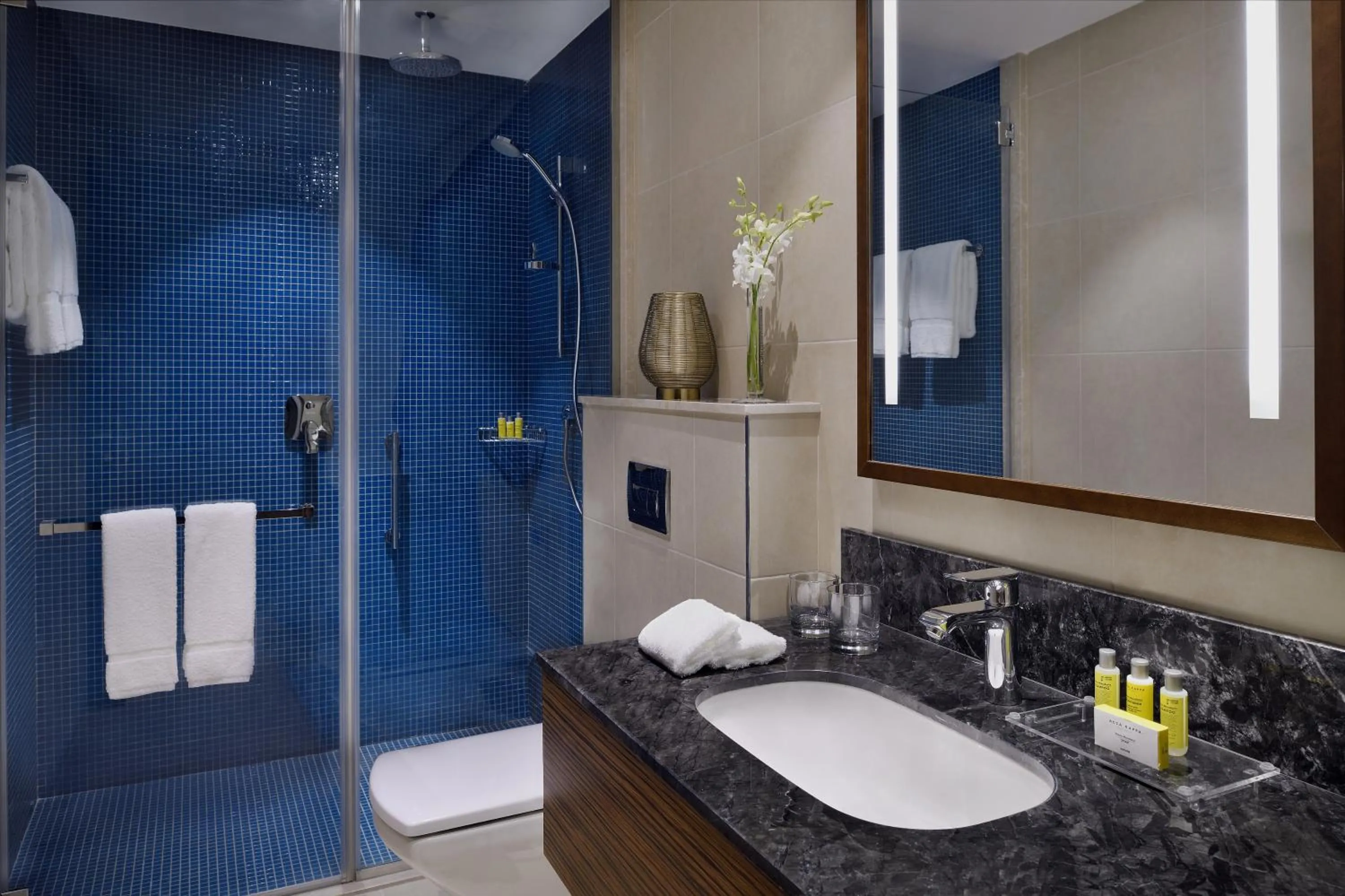 Bathroom in Marriott Executive Apartments Al Khobar