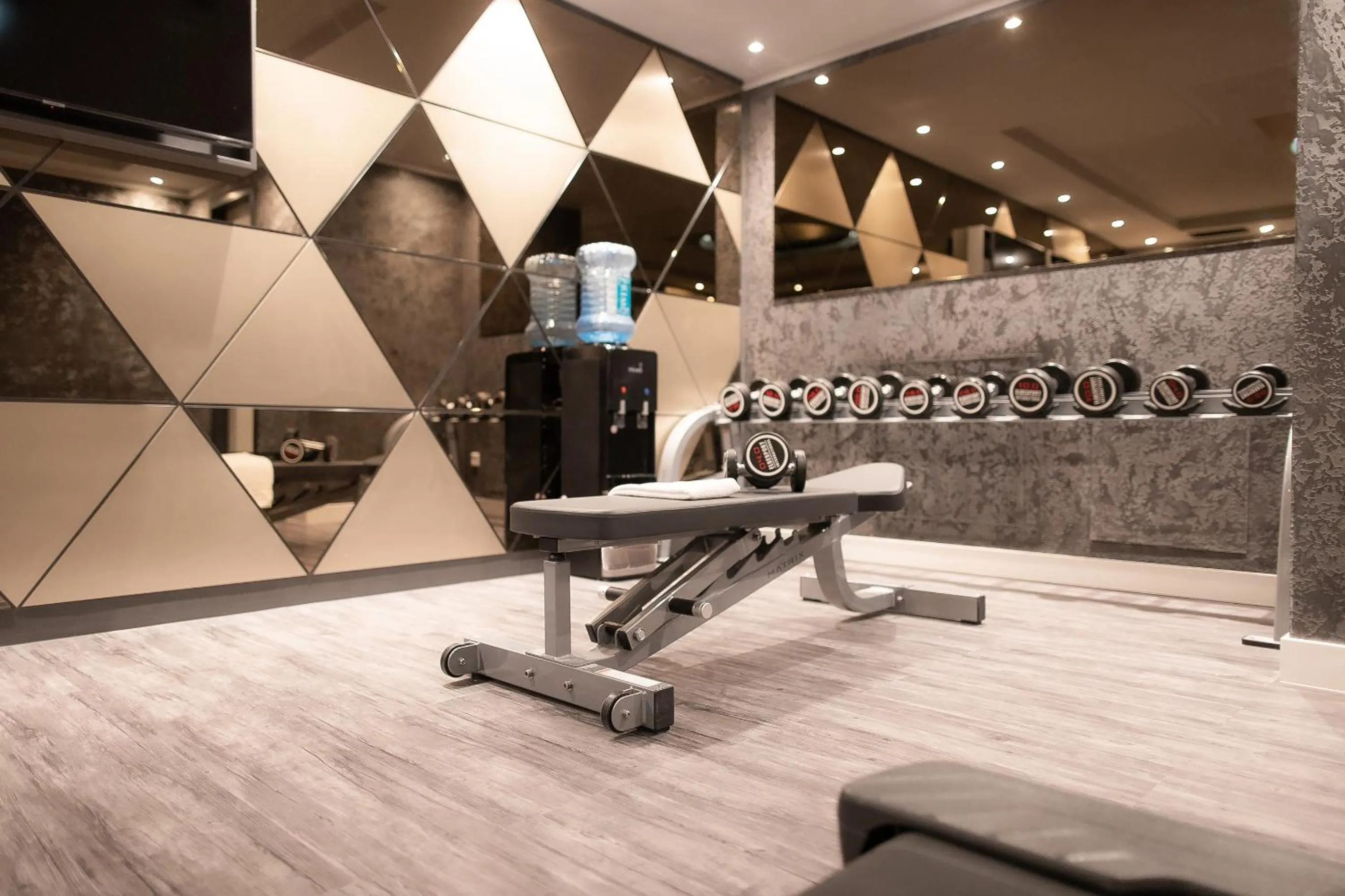 Fitness centre/facilities in PLAZA Premium Heidelberg