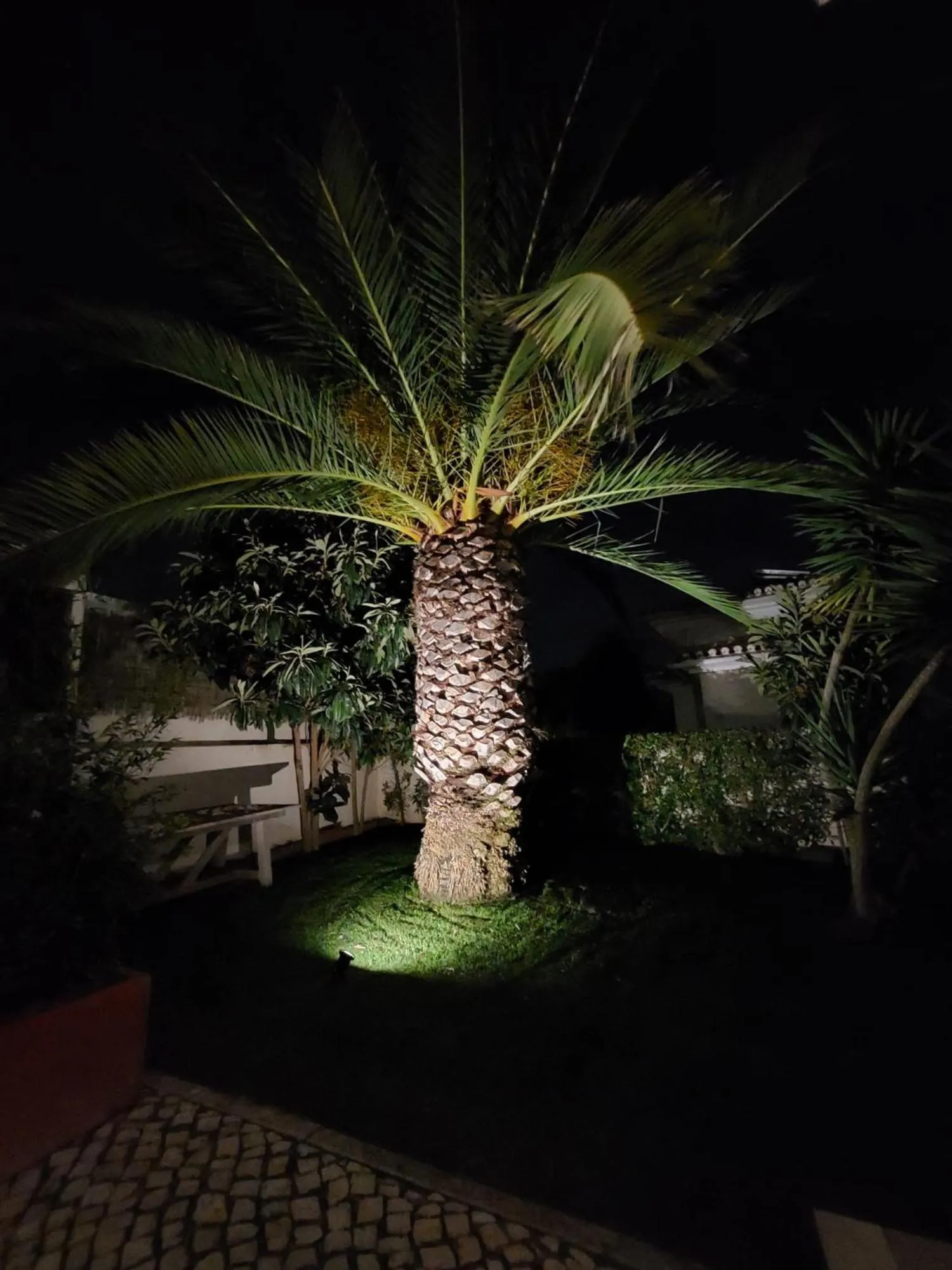 Garden in Casa Eleonora b&b