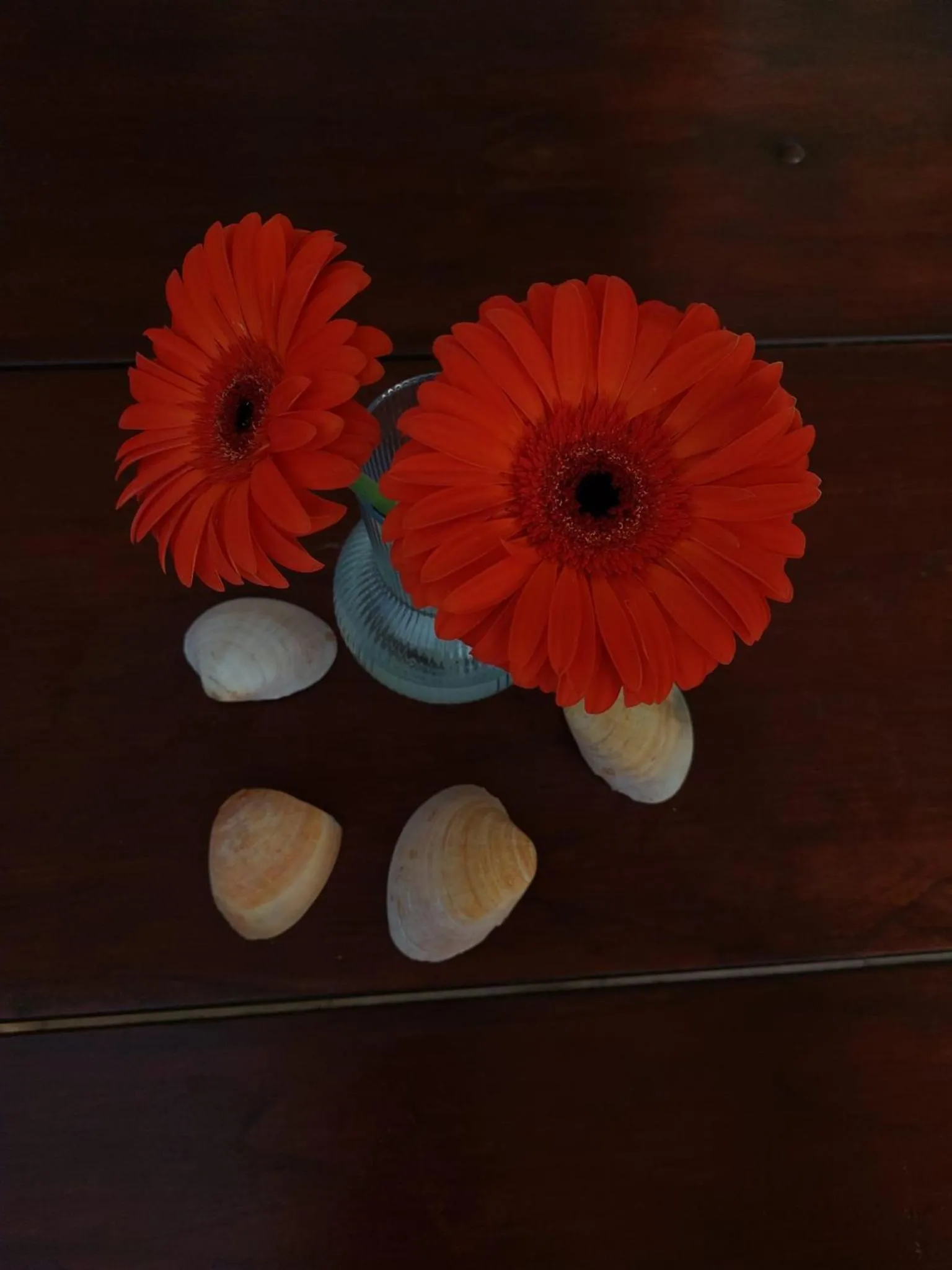 Decorative detail in Casa Eleonora b&b