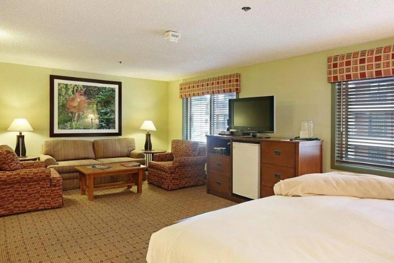 Photo of the whole room, Bed in Gravity Haus