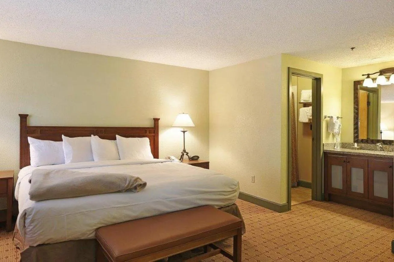 Photo of the whole room, Bed in Gravity Haus