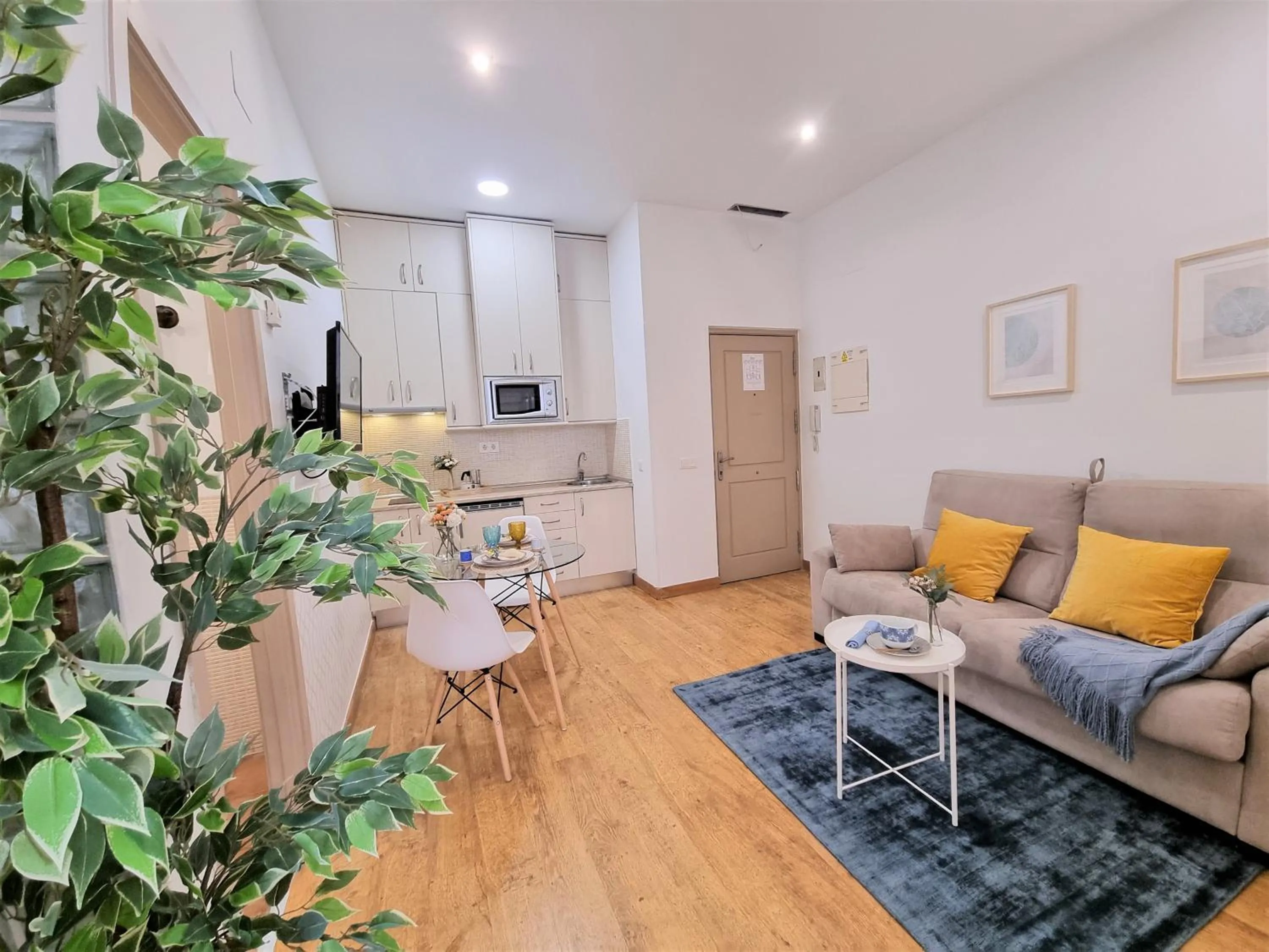 APARTAMENTOS SAN ANDRES