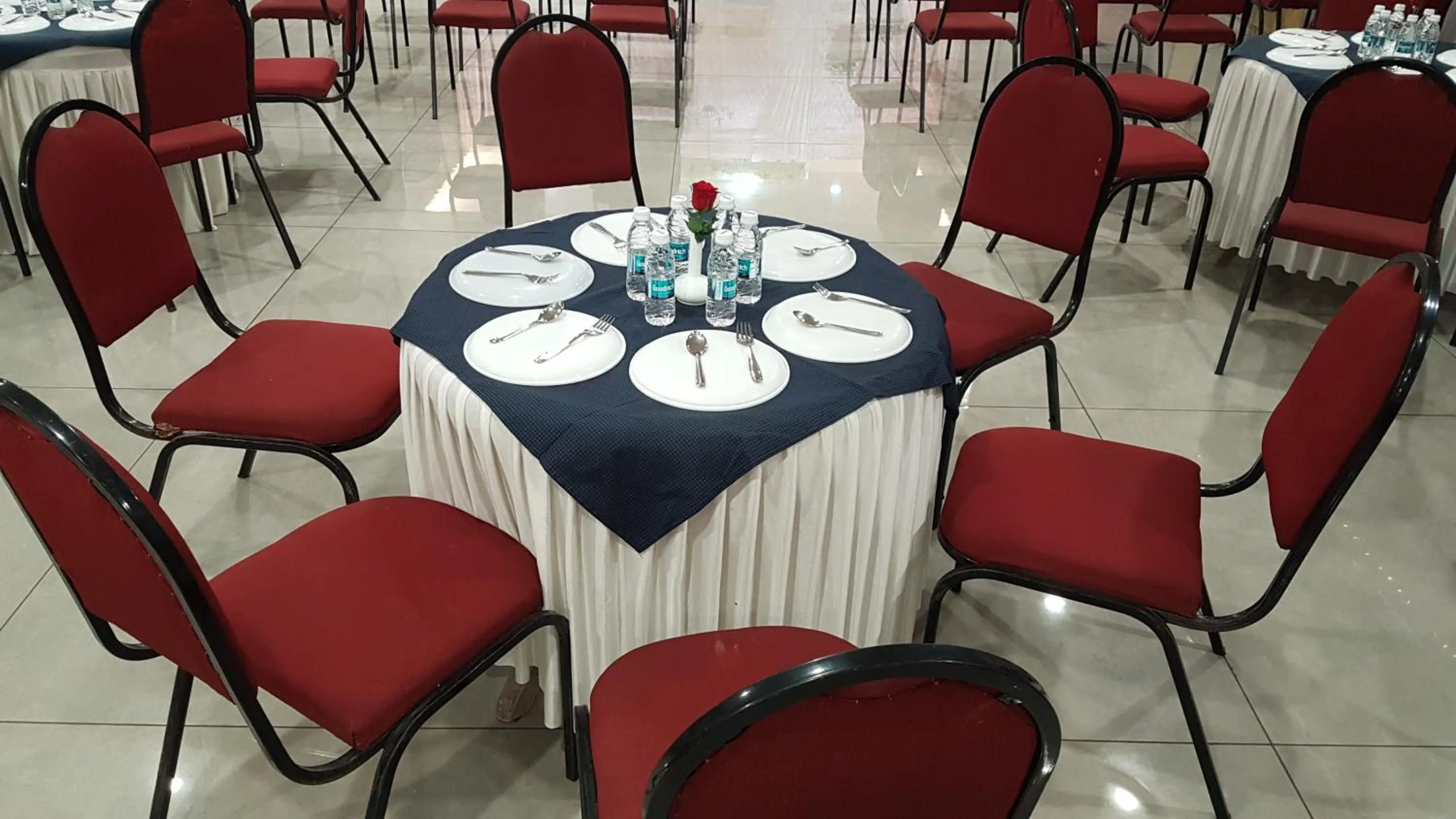 Banquet/Function facilities in Hotel Opal