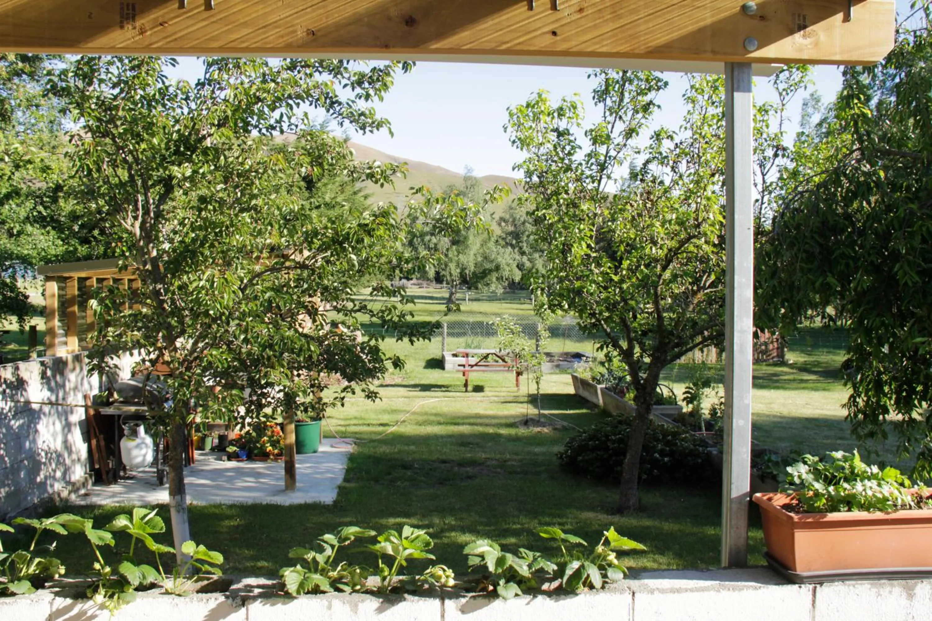View (from property/room) in Burkes Pass Country Motels
