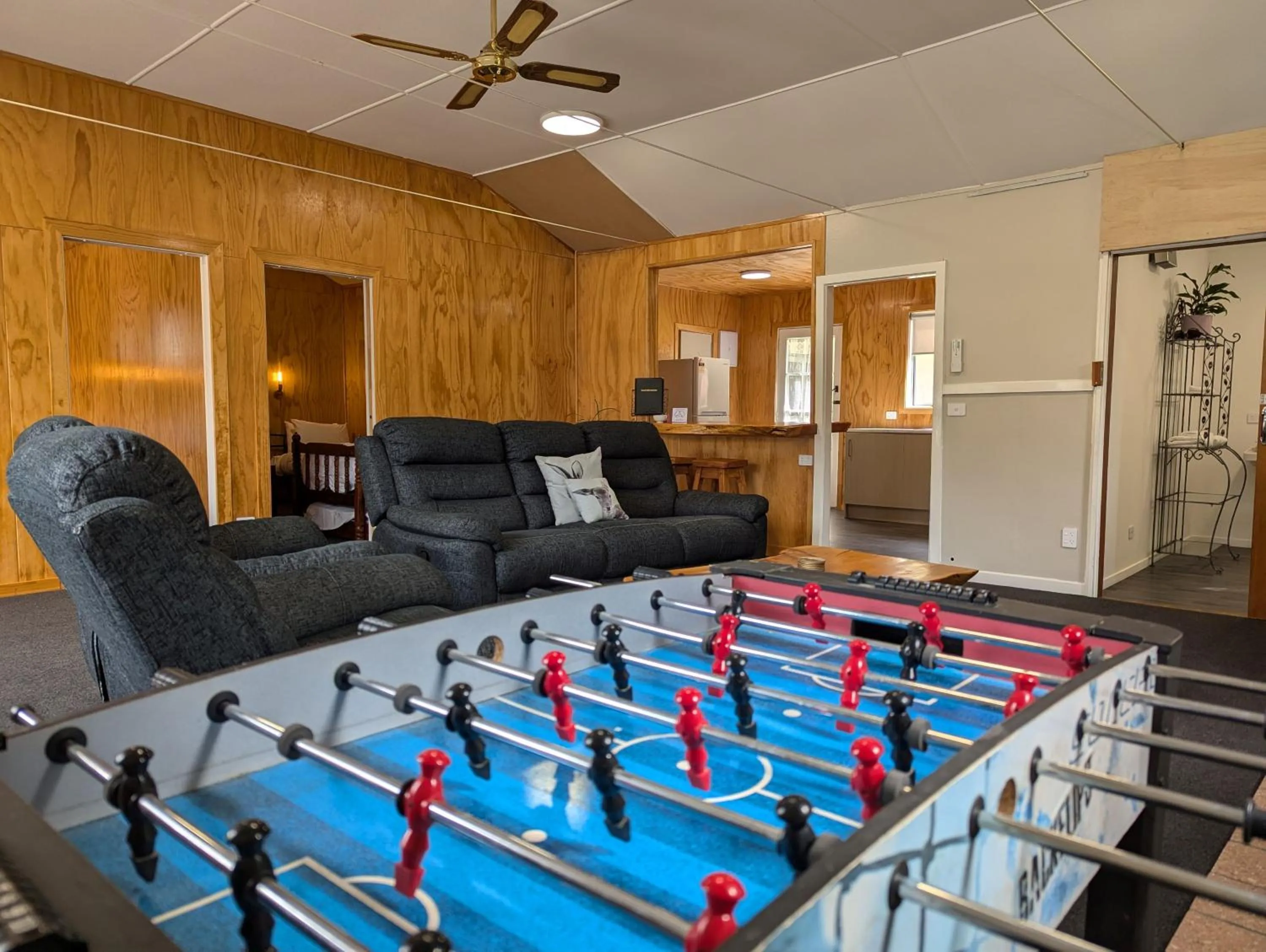 TV and multimedia in Burkes Pass Country Motels