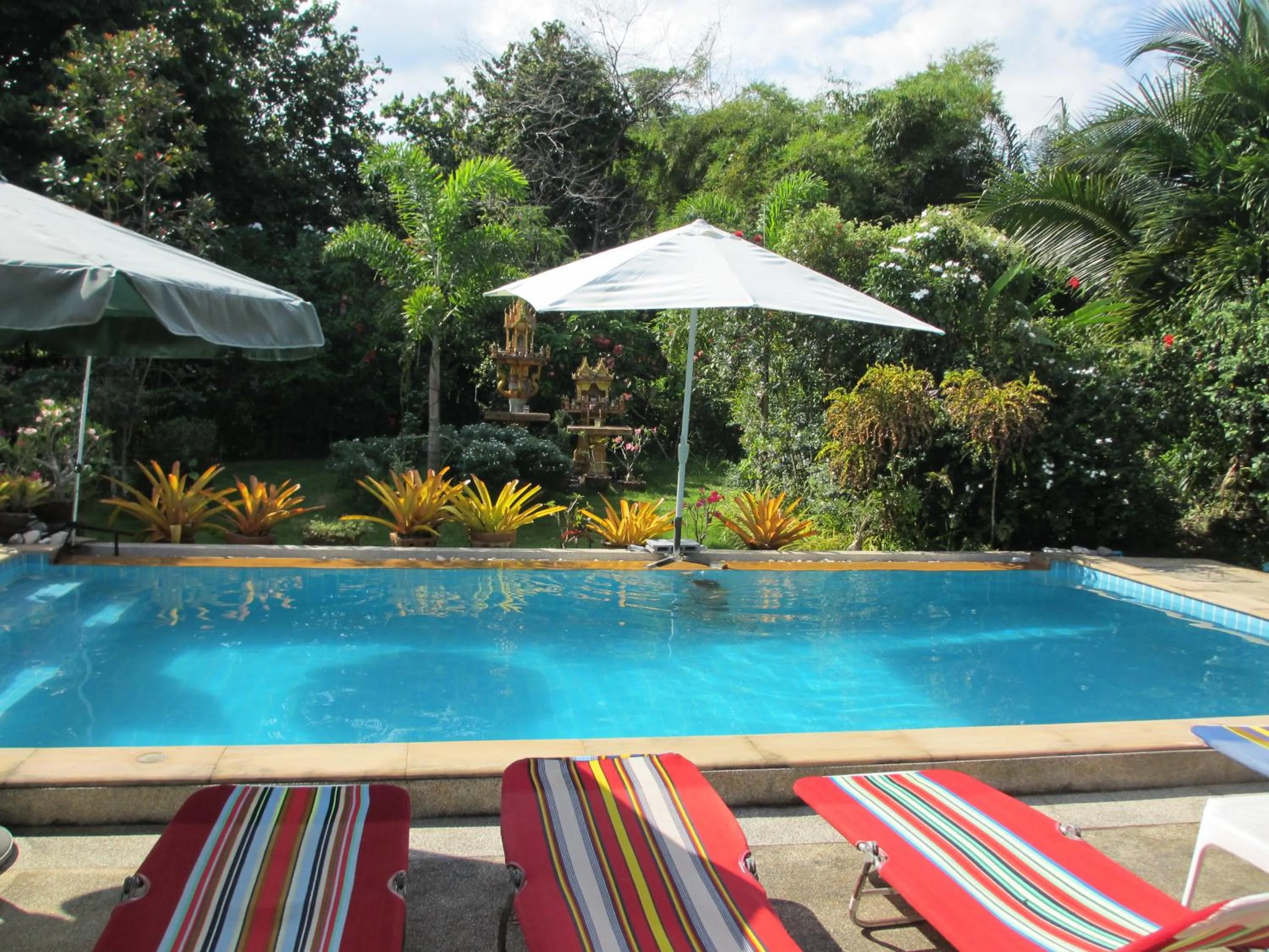 Swimming pool in Real Relax Resort