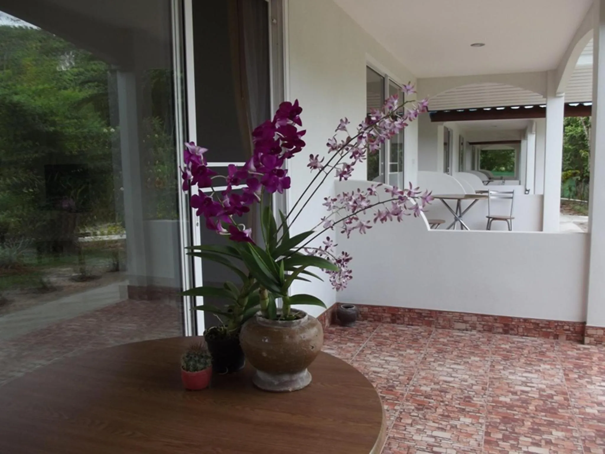 Balcony/Terrace in Real Relax Resort