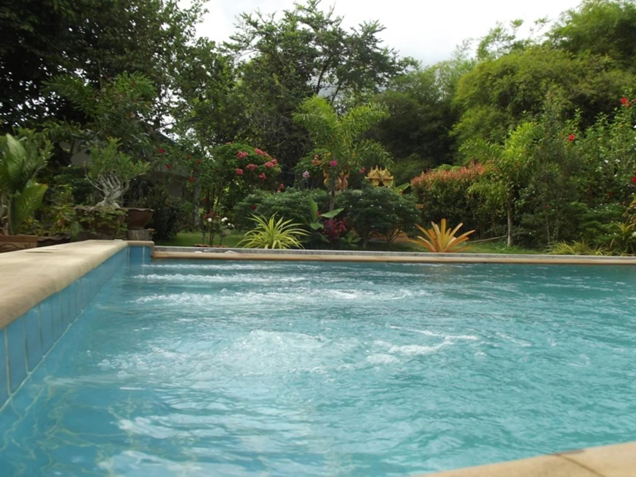Swimming pool in Real Relax Resort