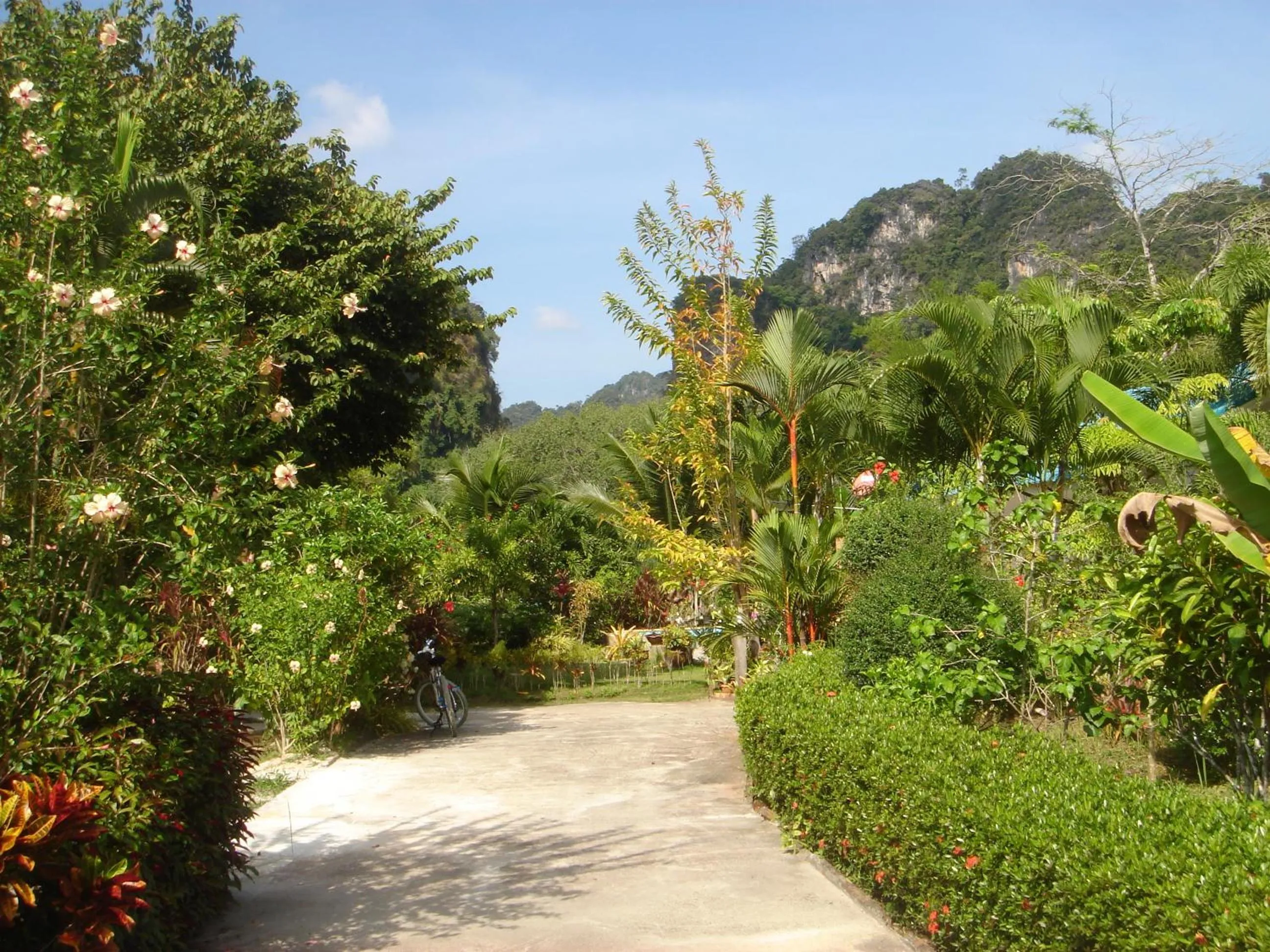 Area and facilities in Real Relax Resort