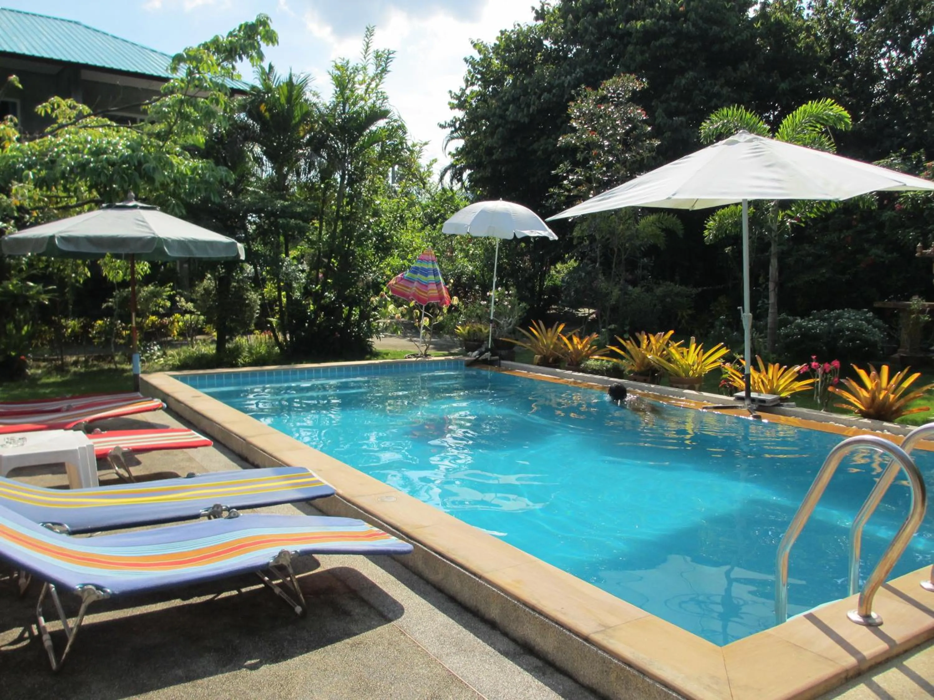 Swimming pool in Real Relax Resort