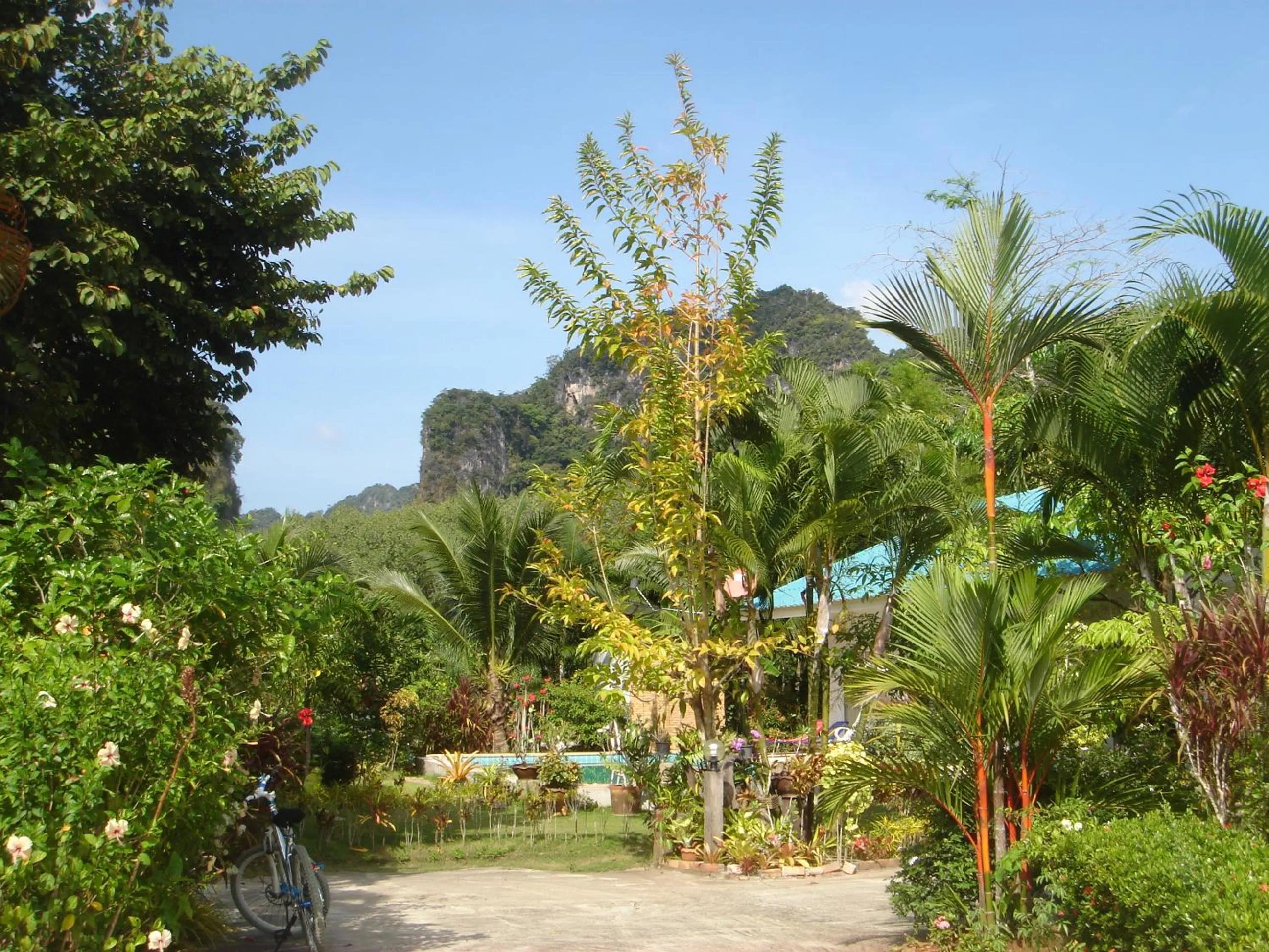 Area and facilities in Real Relax Resort