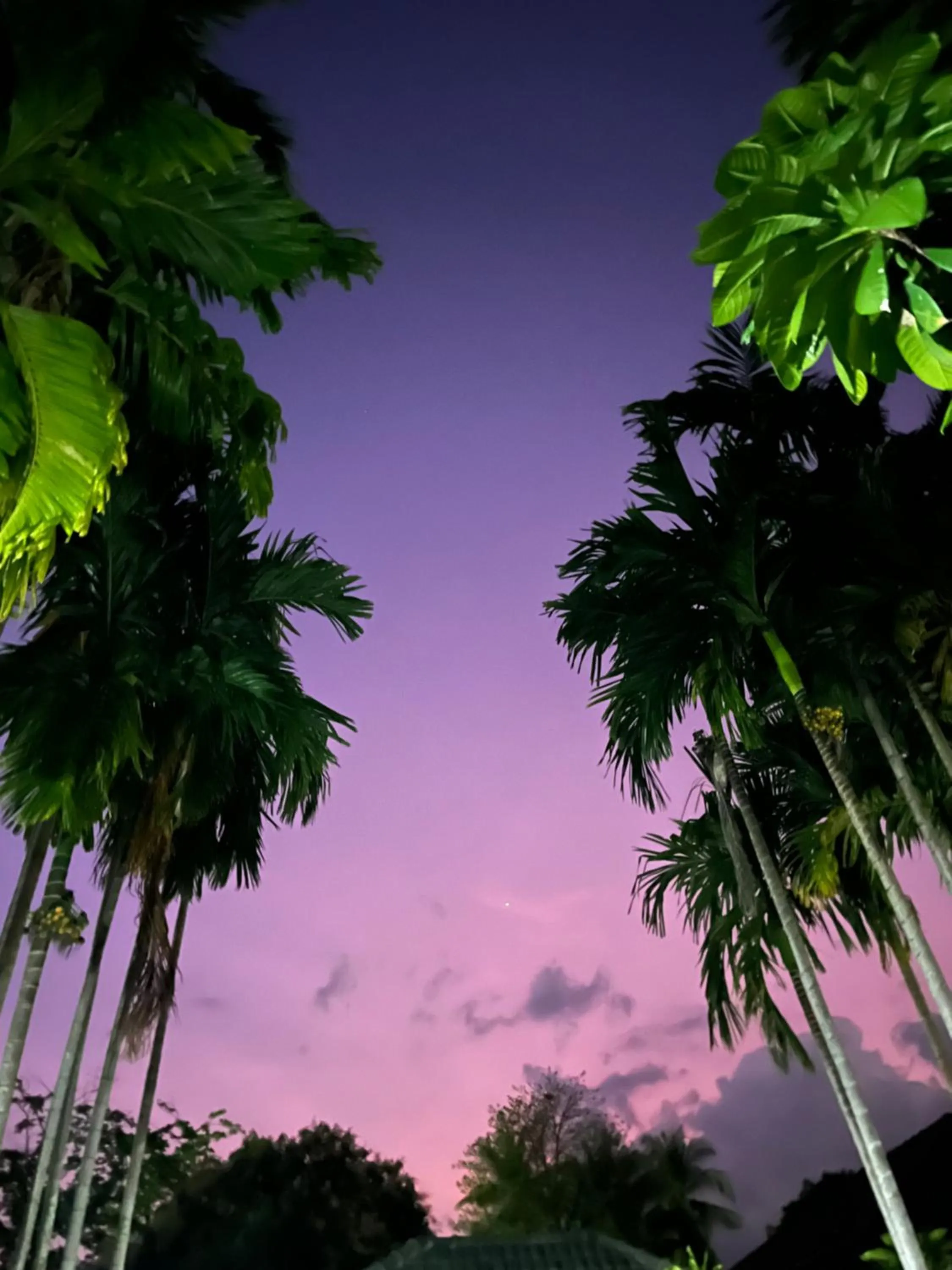 Krabi Klong Muang Bay Resort