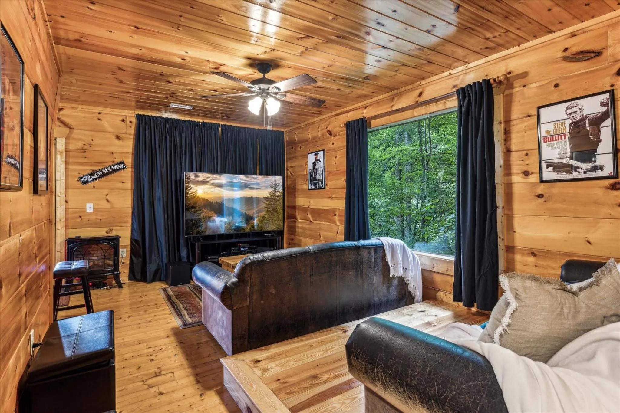 TV and multimedia in Brave Eagle Cabin