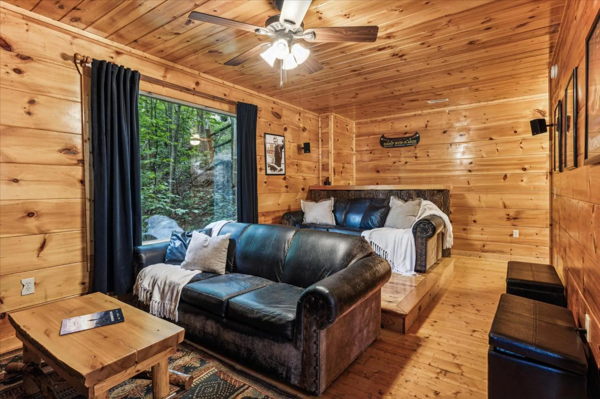 TV and multimedia in Brave Eagle Cabin