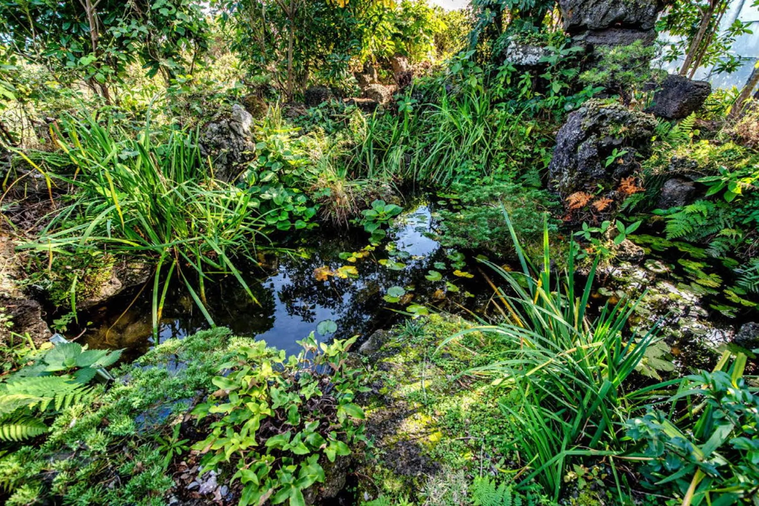 Natural landscape in Olleyo Resort