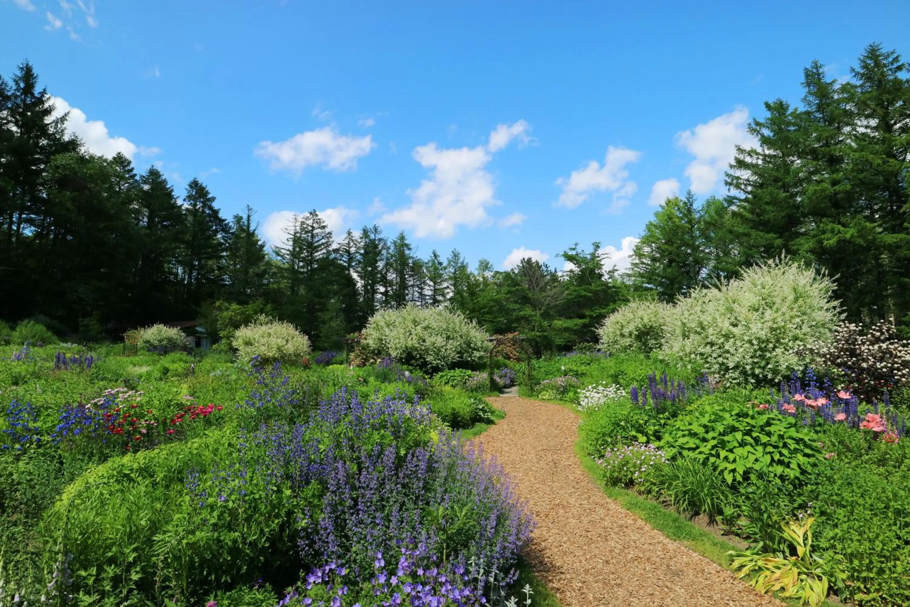 Garden in Shin Furano Prince Hotel