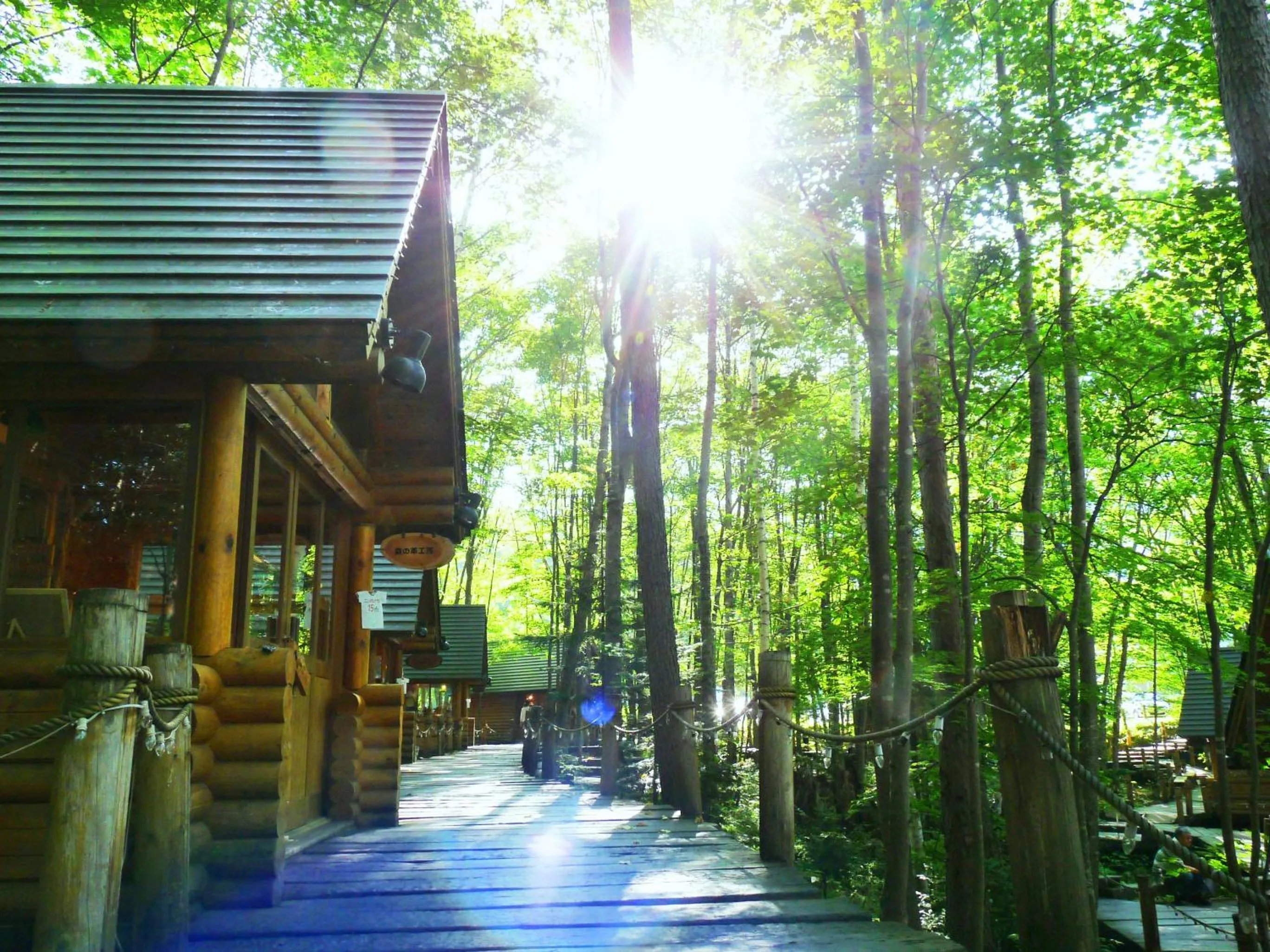 Restaurant/places to eat in Shin Furano Prince Hotel