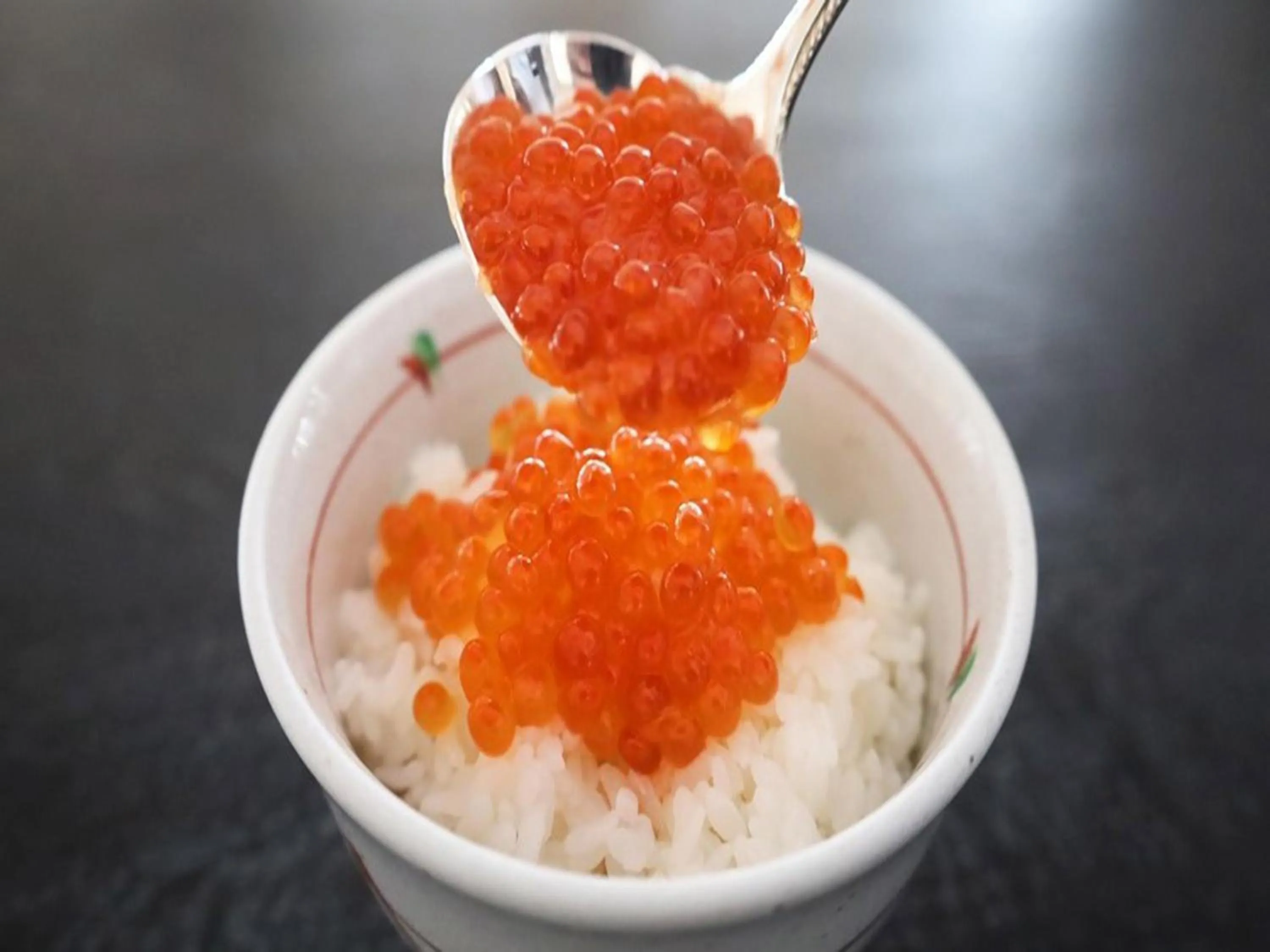 Food in Shin Furano Prince Hotel