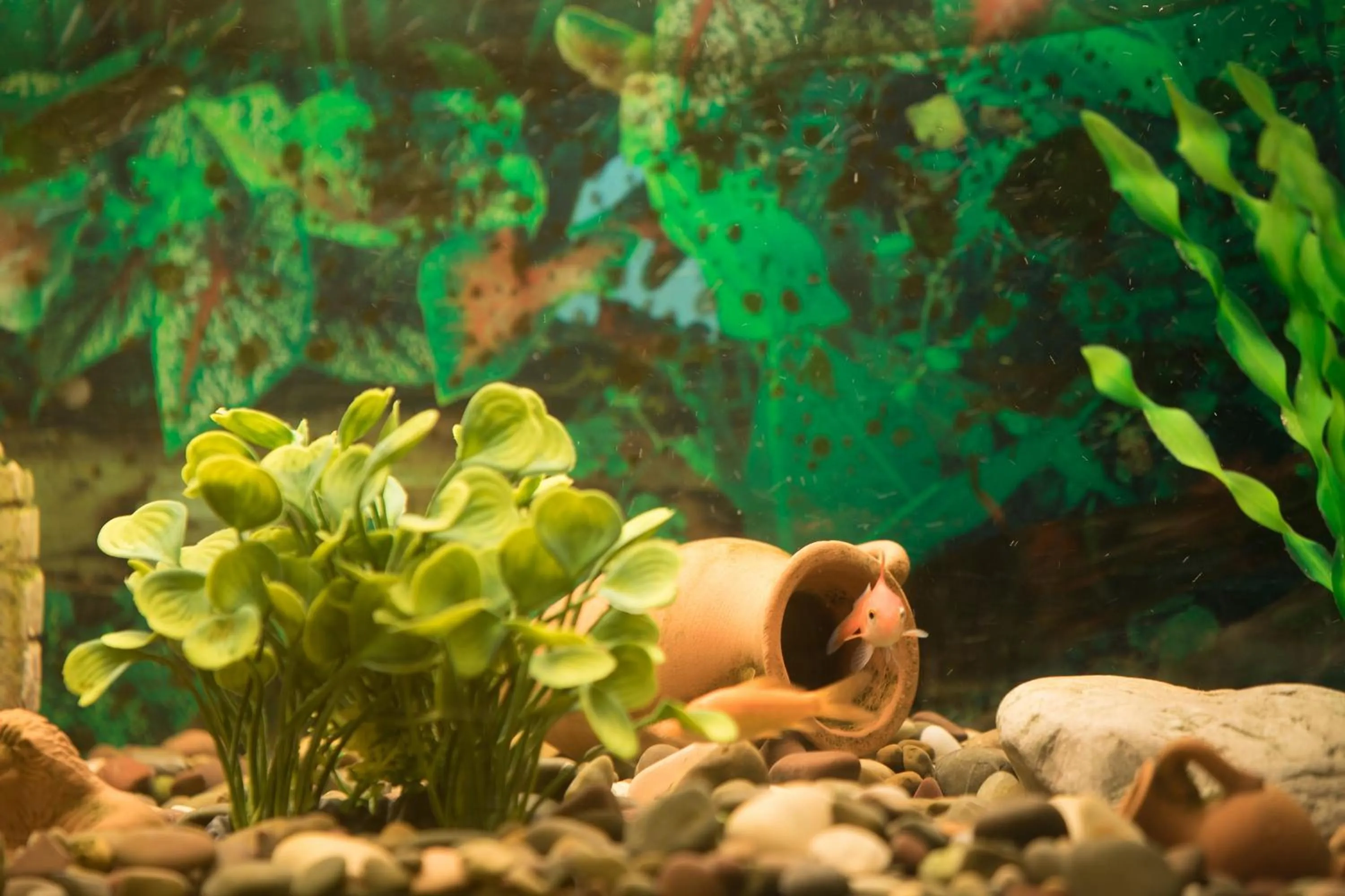 Decorative detail in Hotel Potenza