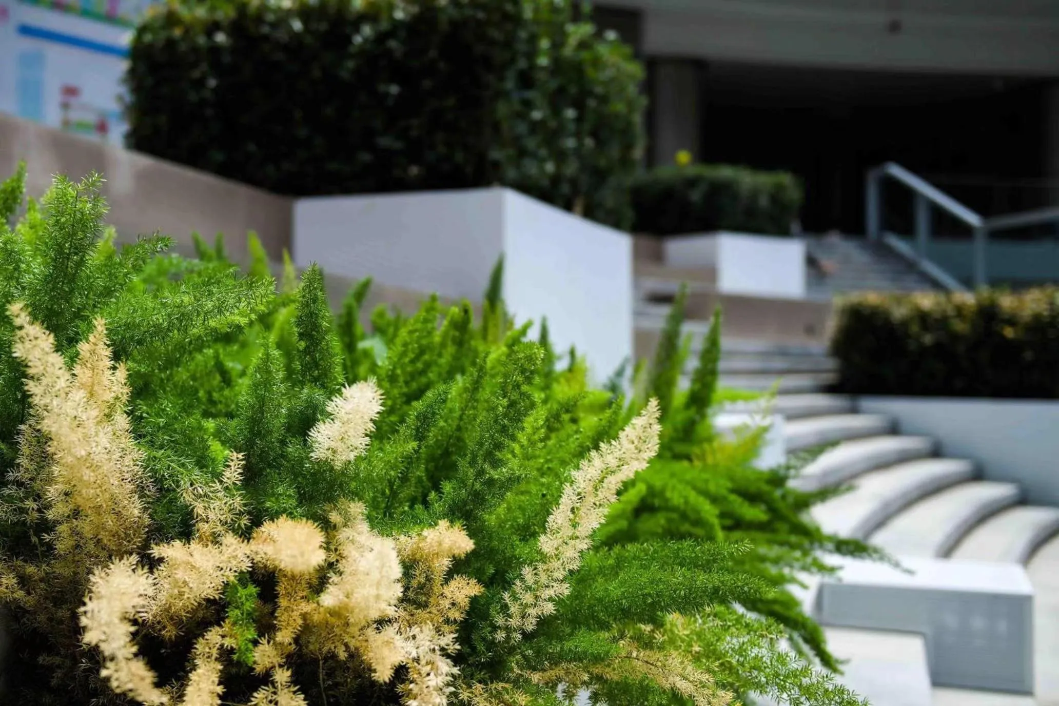 Garden in Somerset Gaoxin Chengdu