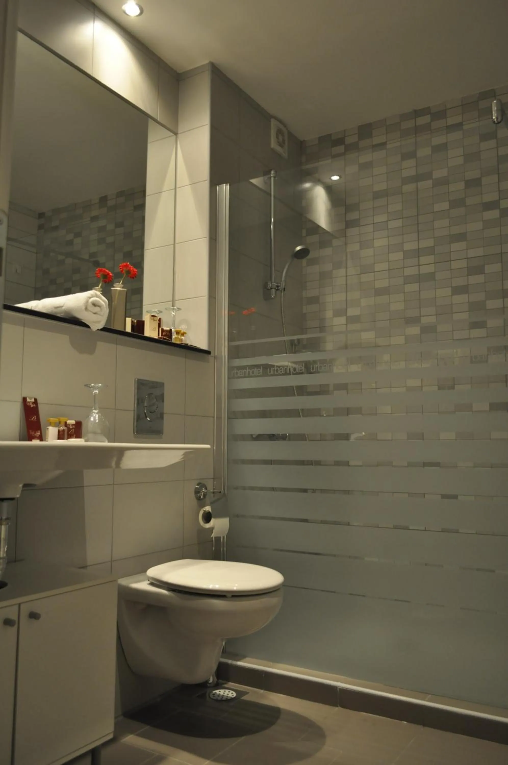 Shower in Hotel Dolce International