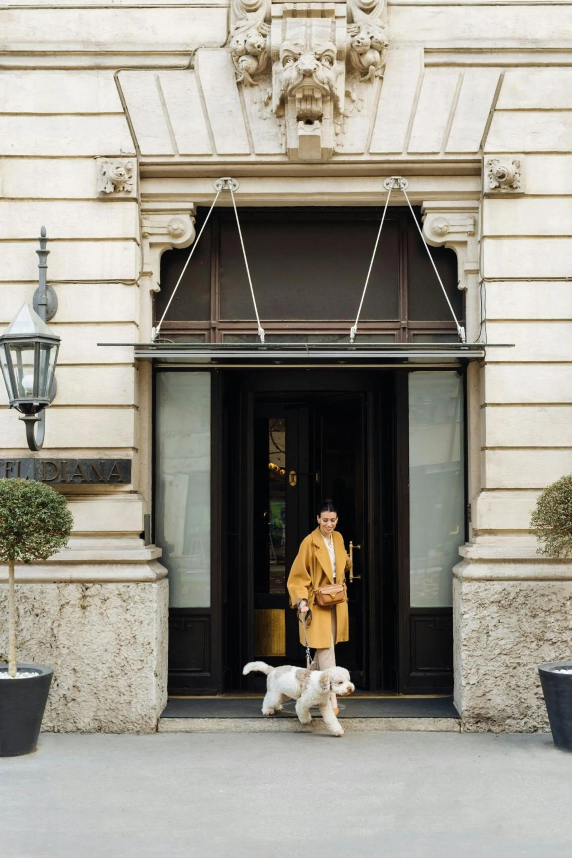 View (from property/room) in Sheraton Diana Majestic