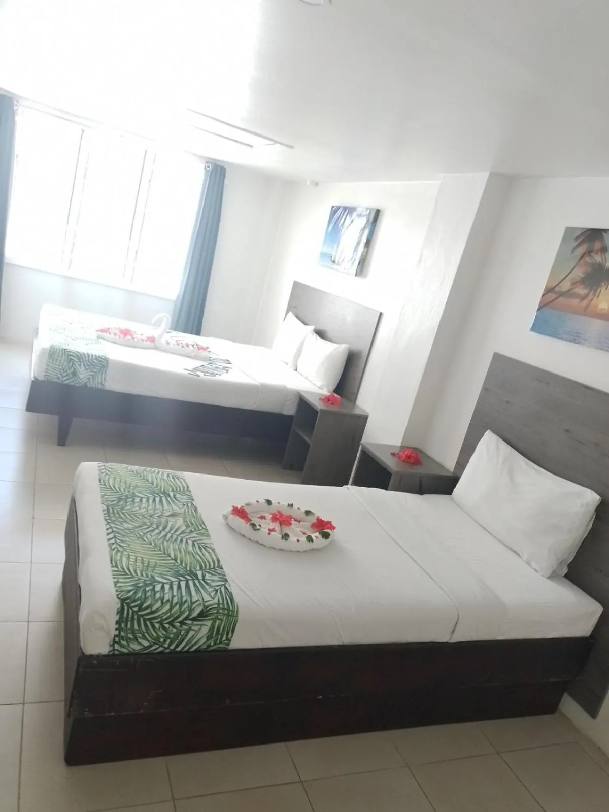 Bedroom, Bed in Sailors Beach Fiji