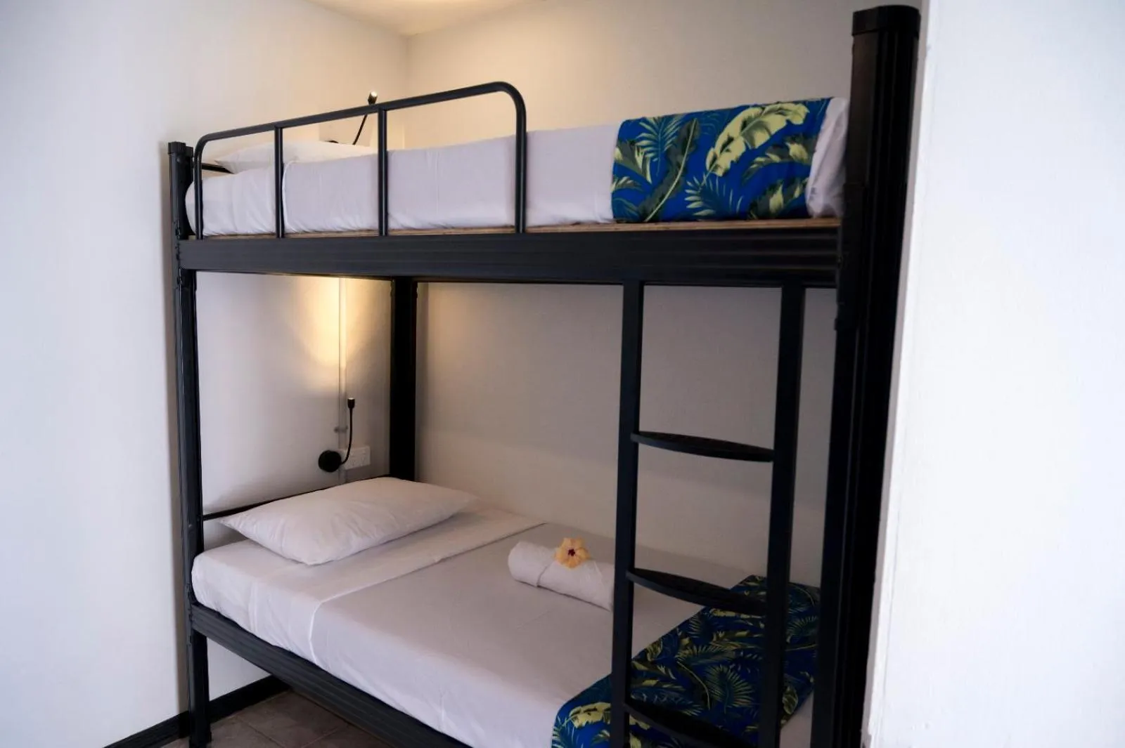 Photo of the whole room, Bed in Sailors Beach Fiji