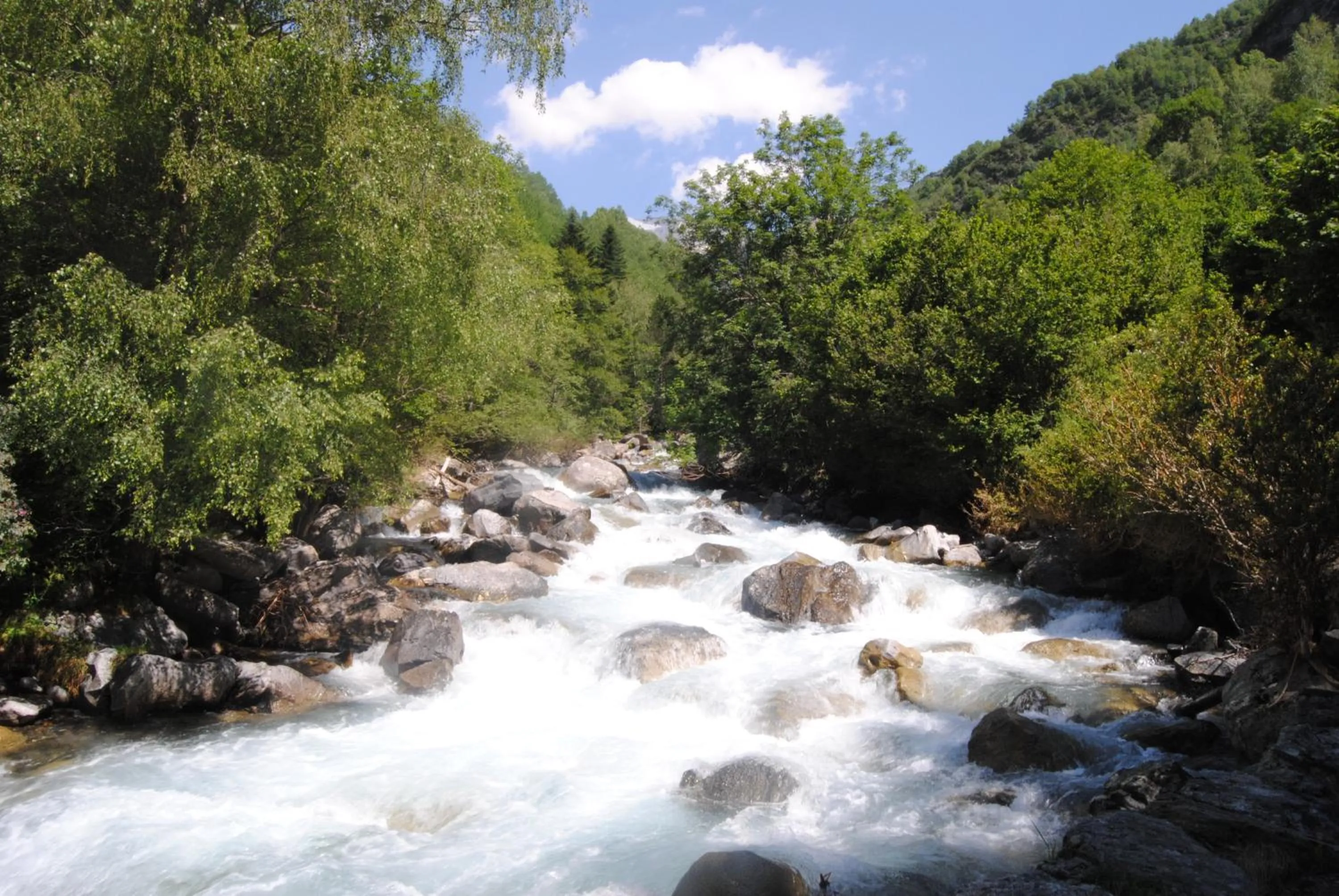 Other in Apartamentos SNÖ Edelweiss