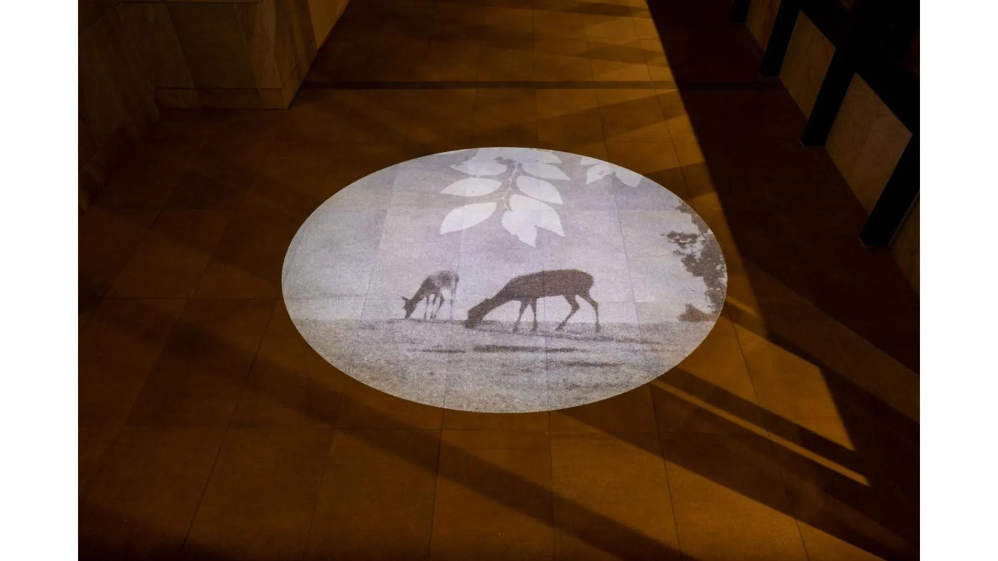 Decorative detail in Iroha Grand Hotel Kintetsu Nara Ekimae