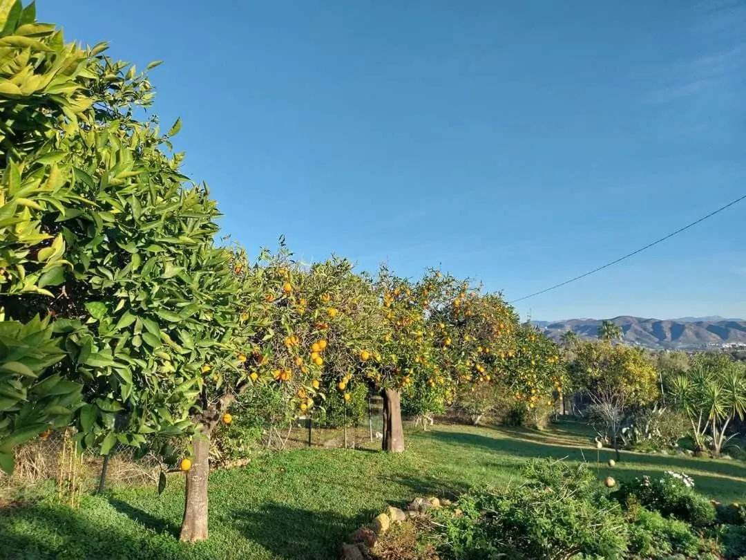 Garden view in Finca Sueño de Vida