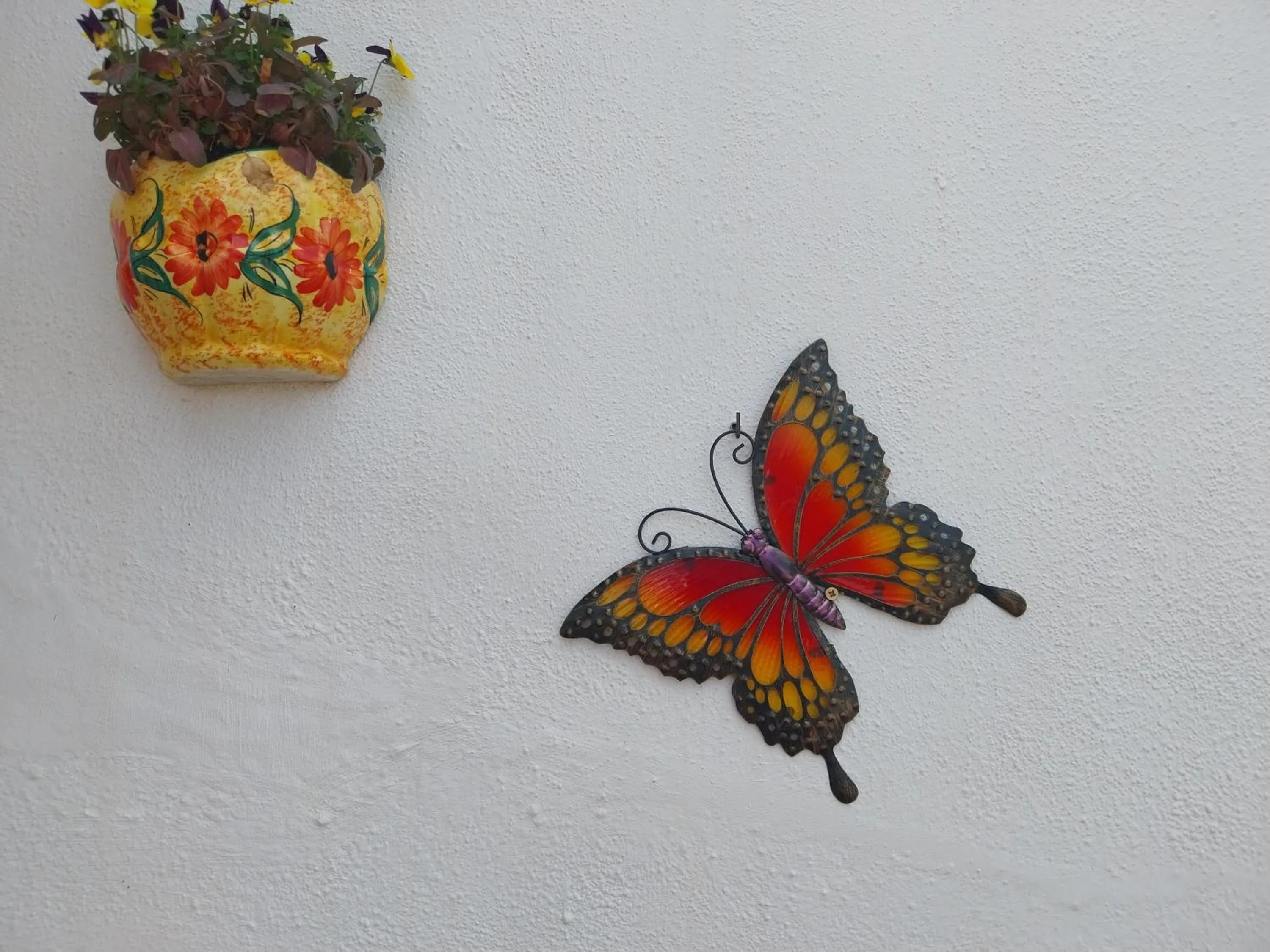 Finca Sueño de Vida