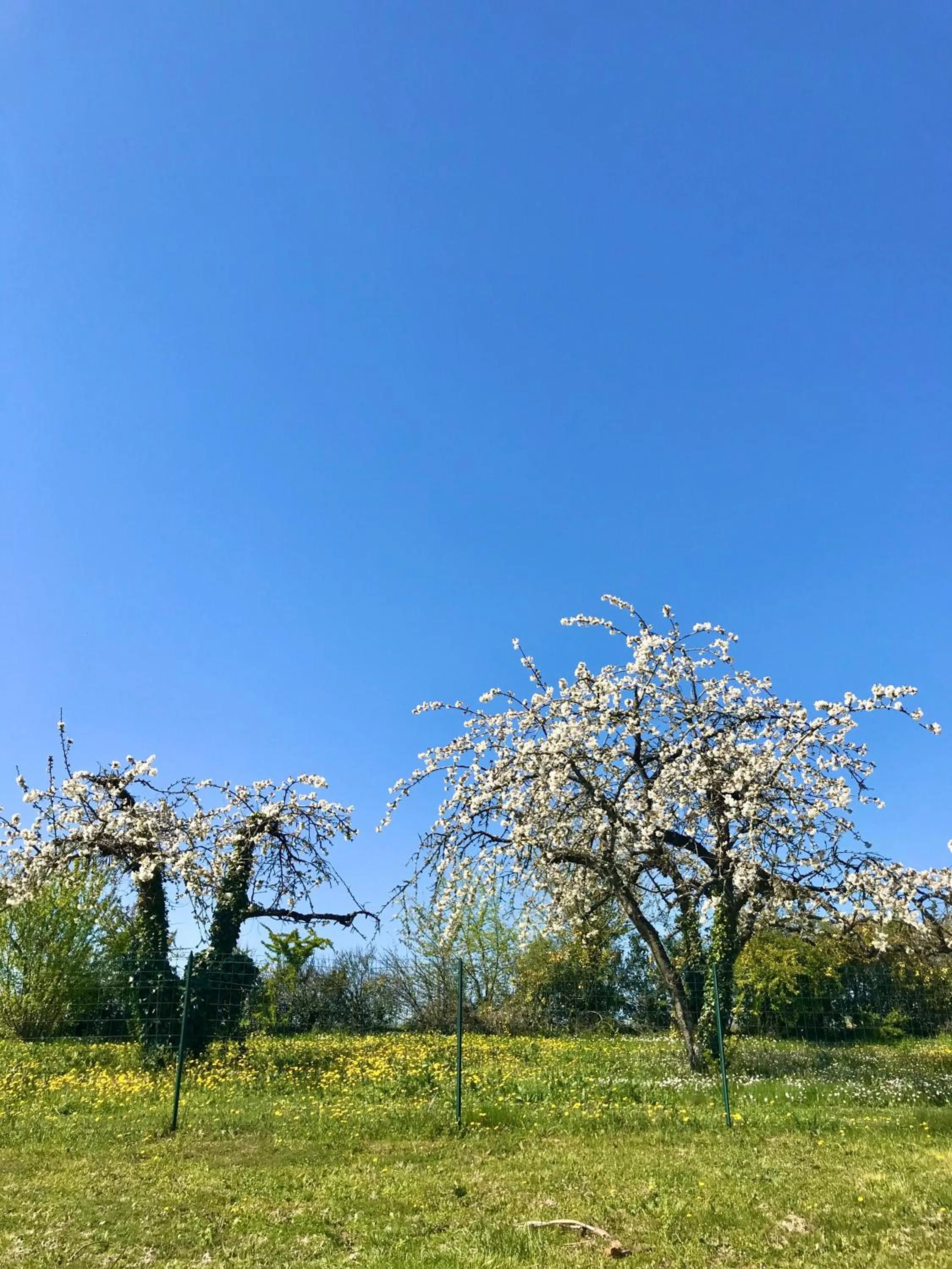 Natural landscape in Le Bouyssou