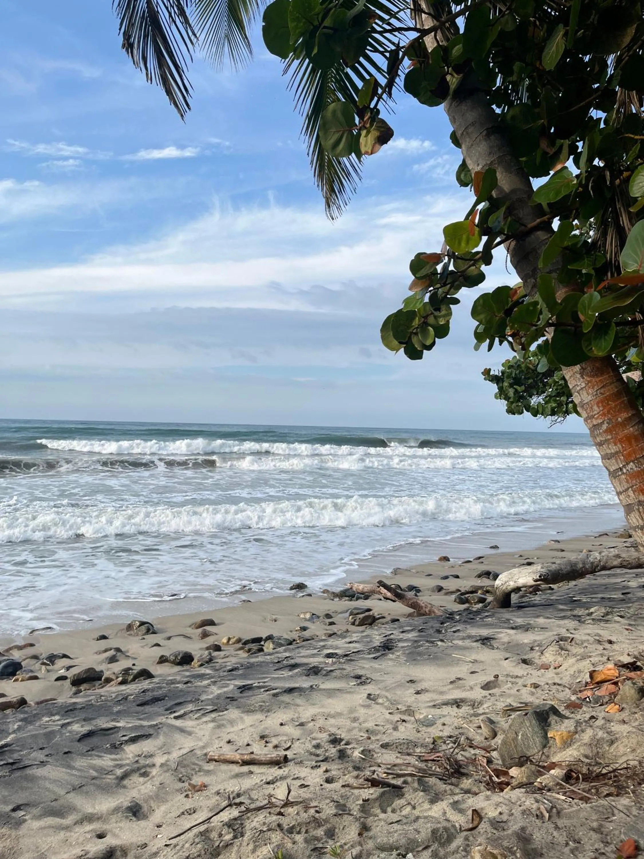 Beach in Hostal Campomar