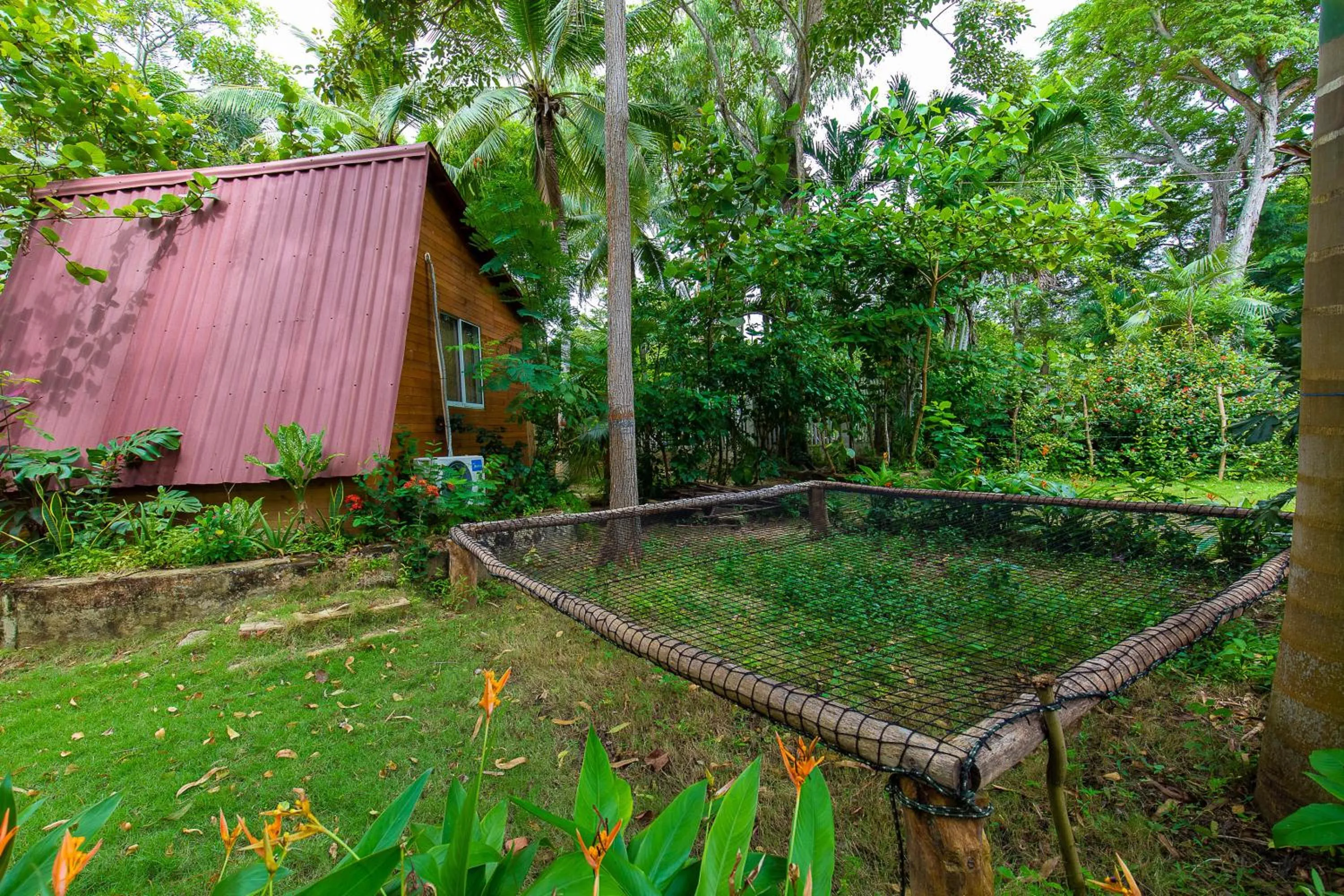 Garden in Hostal Campomar