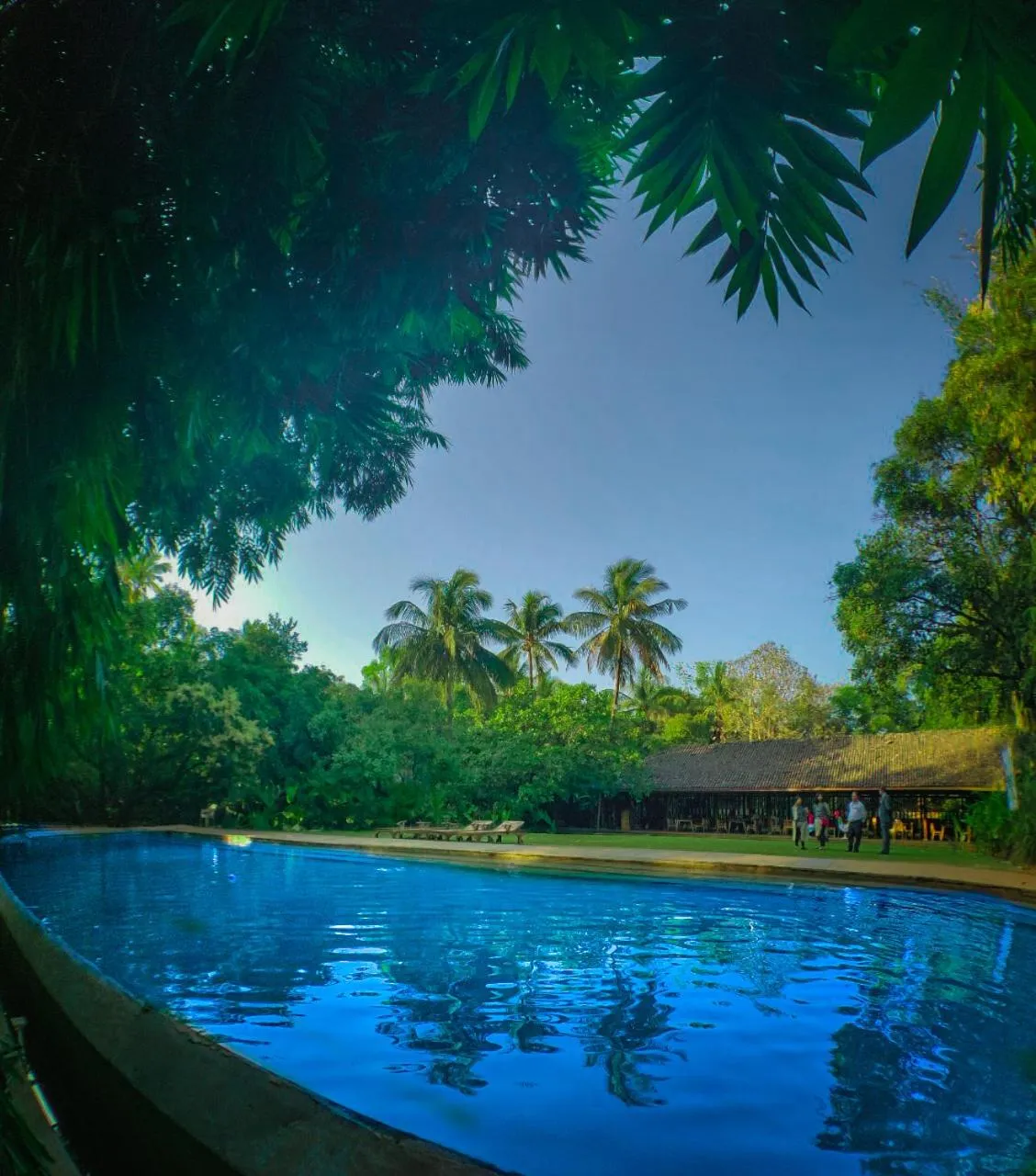 Pool view in The Orchard Resort