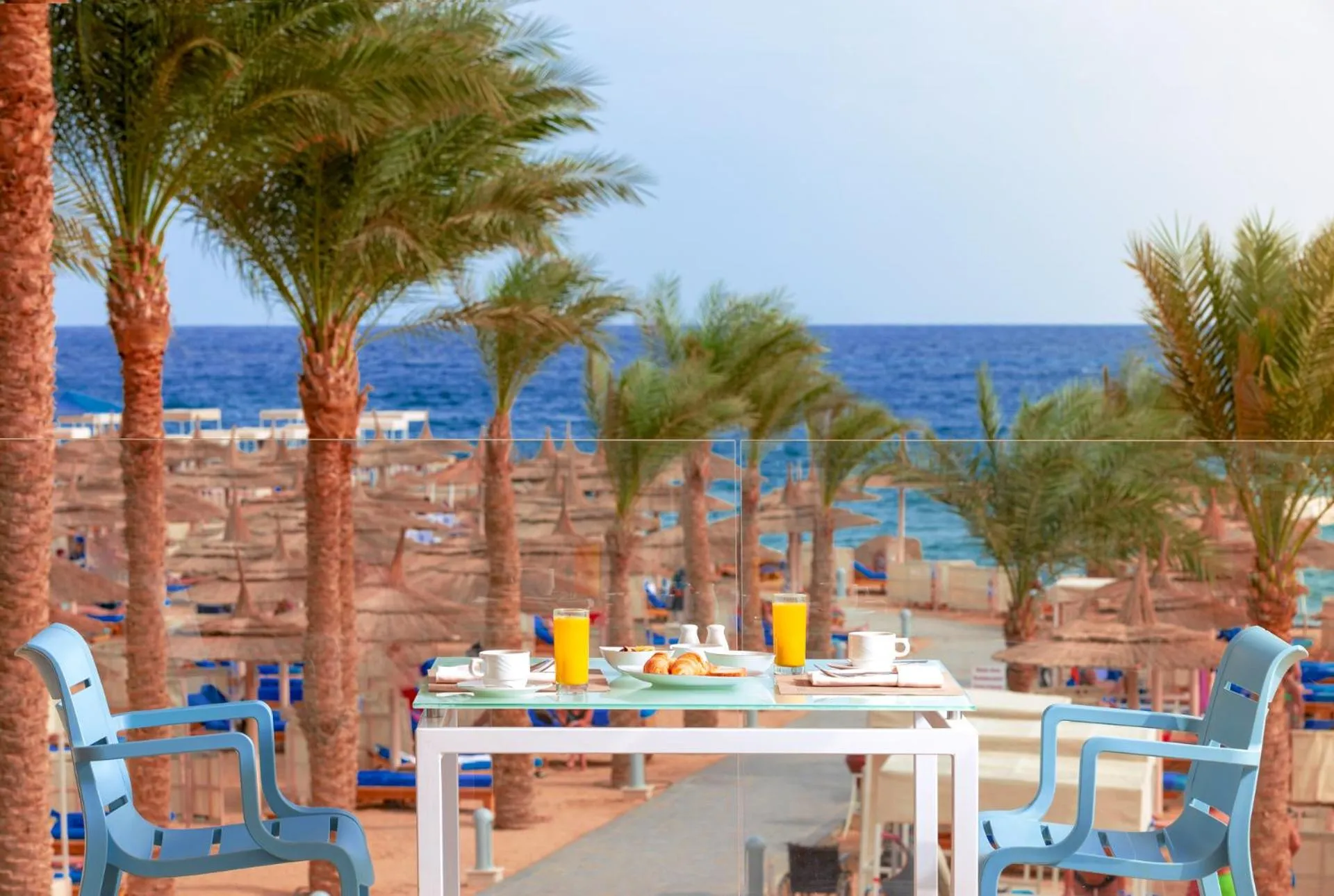 Restaurant/places to eat in Beach Albatros The Club - Aqua Park