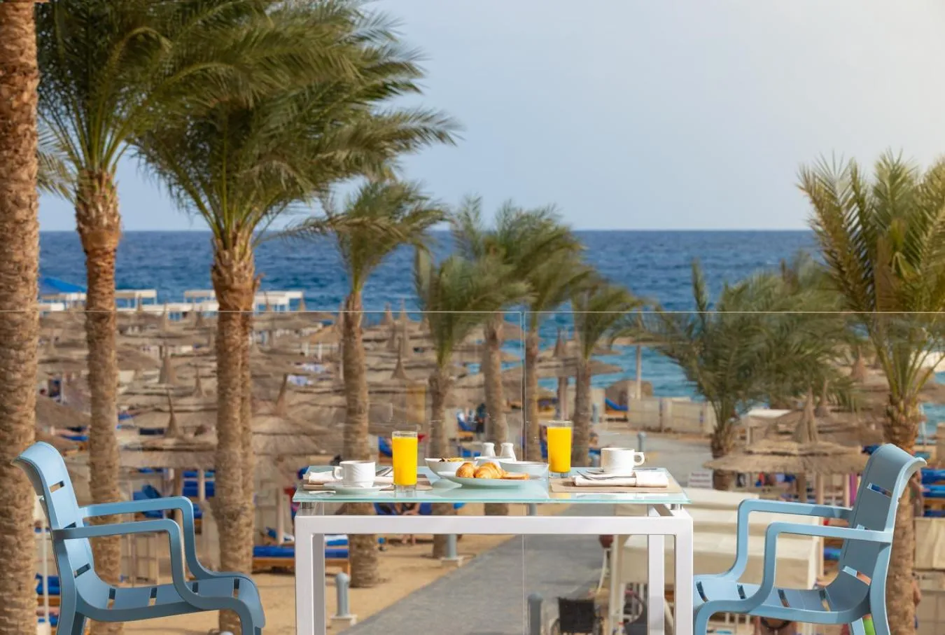 Restaurant/places to eat in Beach Albatros The Club - Aqua Park