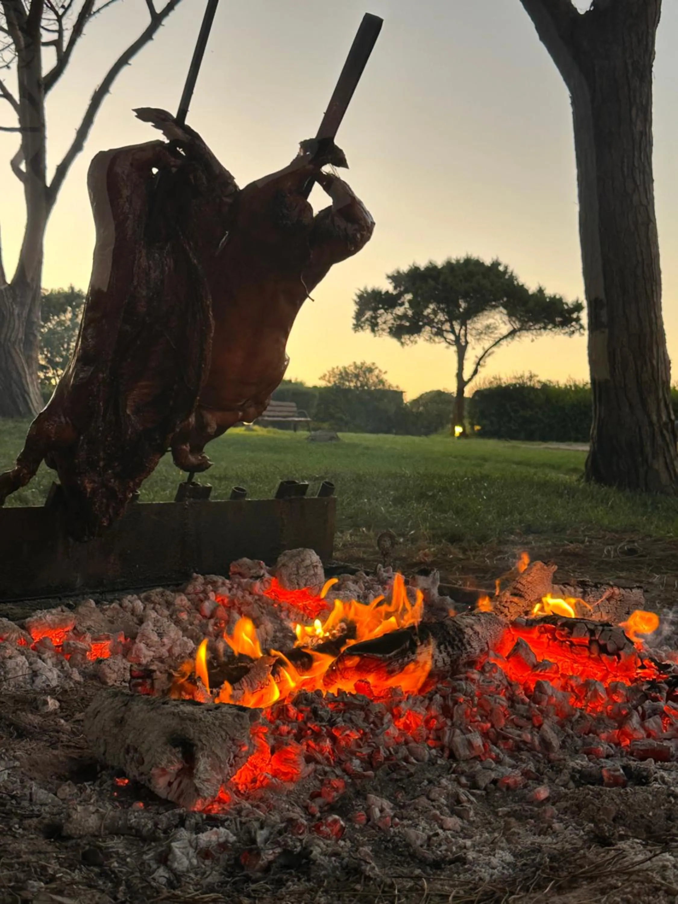 BBQ facilities in UNAHOTELS Club Hotel Ancora