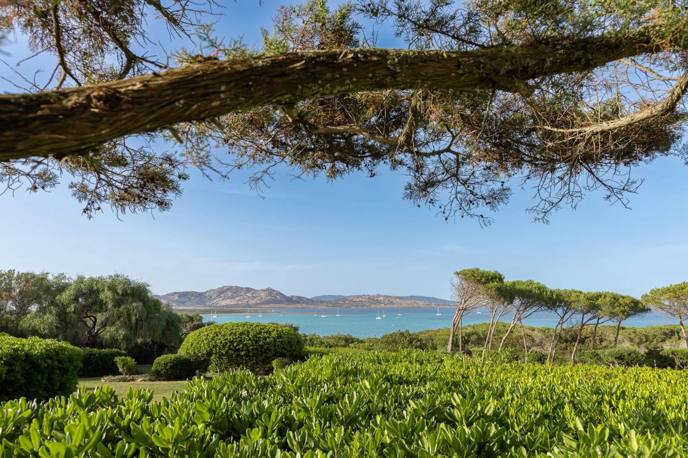 Natural landscape in UNAHOTELS Club Hotel Ancora